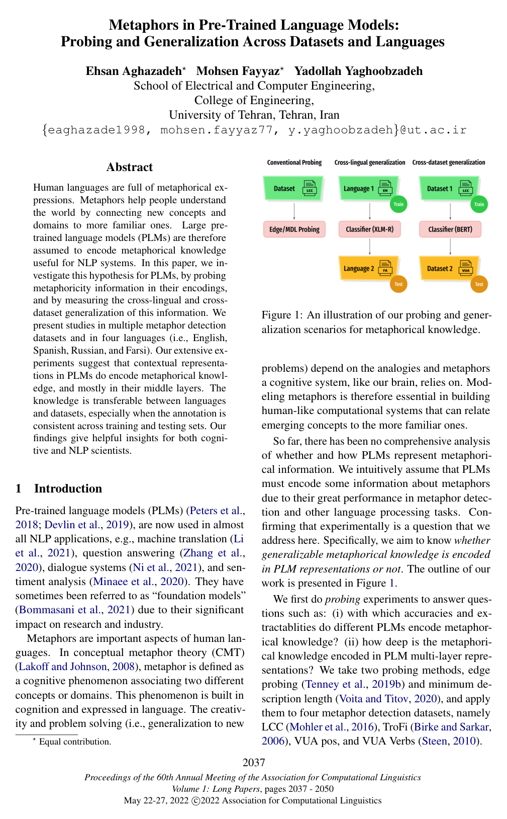 Cover for Metaphors in Pre-Trained Language Models: Probing and Generalization Across Datasets and Languages