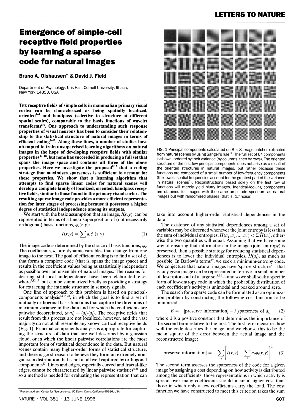 Emergence of simple-cell receptive field properties by learning a sparse code for natural images