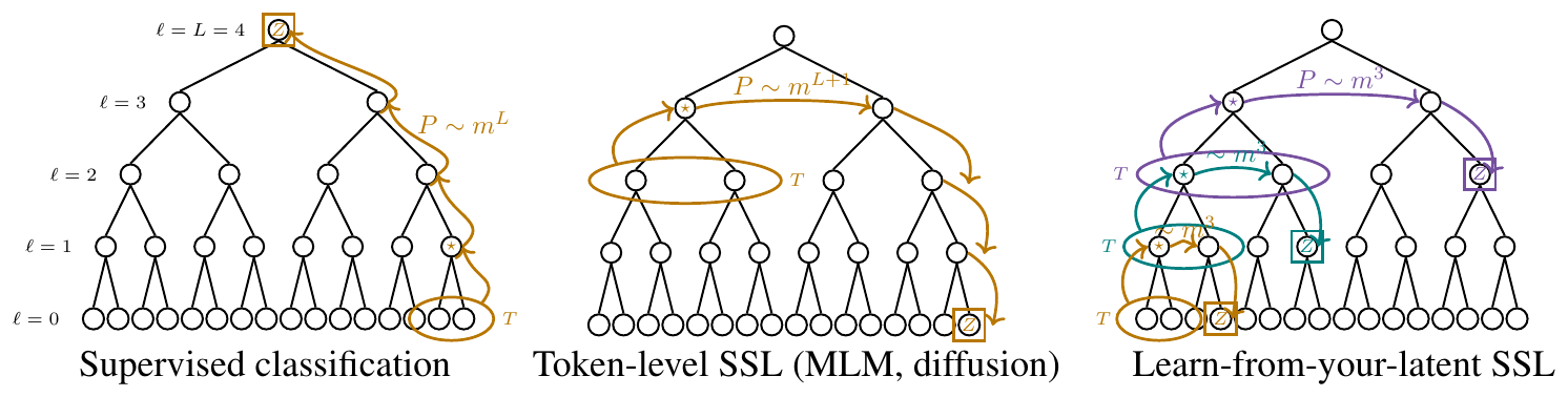 **Figure 1:** **The sample complexity $P$ to learn RHM data depends on training objective**. The sample complexity to learn the synonymic invariance of correlations (and construct latent $\star$) between prediction target ($Z$, boxed) and its context tuple ($T$, circled) scales as $m^{d_{tree}}$, where $d_{tree}$ denotes the tree-distance between the two. Overall sample complexity is bottlenecked by the weakest pertinent correlations, which we highlight for supervised classification and token-level SSL. Supervising on latents, as our ILC algorithm (Section 3), SLC network (Section 4), and data2vec (Section 5) do, achieves the better sample complexity $\sim m^3$.