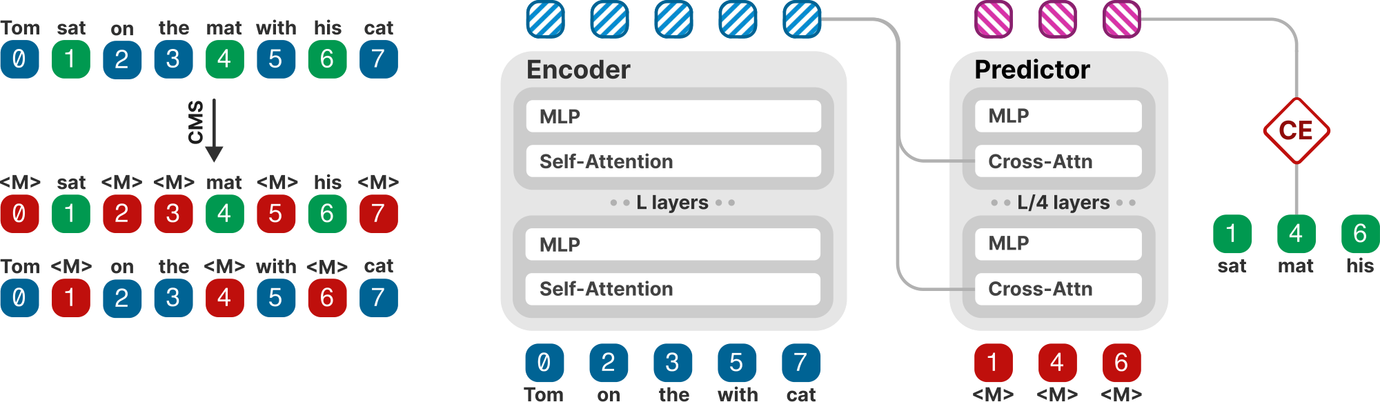 **Figure 2:** **Left.** The Complementary Masking Strategy (CMS) augments a batch of tokens into two complementary masked views by replacing tokens with $\texttt{\textless{}MASK\textgreater{}}$. Masked tokens are in red; the unmasked tokens of the two views are in green and blue. Numbers indicate positional indices. **Right.** CrossBERT predicts one view (green) from the other (blue), and vice-versa. Both views are processed in parallel with an attention mask isolating one view from the other, preventing information leakage. The encoder takes the unmasked tokens and their positional indices as input. The lightweight predictor takes $\texttt{\textless{}MASK\textgreater{}}$ placeholders and their positional indices; it never sees the masked tokens'content. The predictor attends to the encoder's output representations via cross-attention and is trained to reconstruct the complementary view with a Cross-Entropy (CE) loss. Solid color boxes denote tokens (red `<MASK>`, blue/green true values); hatched boxes denote representations (blue from the encoder, pink from the predictor).