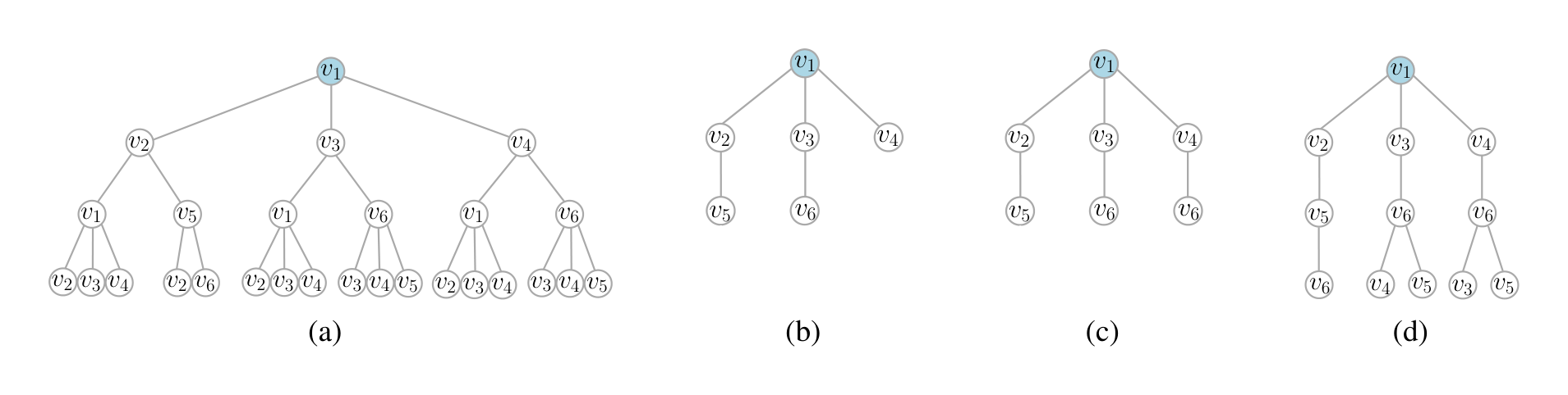 Figure 2. (a) WL-Tree rooted at node $v_1$ for the graph of Figure 1(a). (b) One of the two $\mathcal{SP}$-Trees rooted at $v_1$ of height 2. (c) $\mathcal{SP}^+$-Tree rooted at $v_1$ of height 2 and (d) $\mathcal{AP}$-Tree rooted at $v_1$ of height 3. Note that we consider only $\mathcal{SP}$ and $\mathcal{SP}^+$-Trees of height up to 2 because there is no shortest path of length higher than 2 that starts at $v_1$ in the input graph.