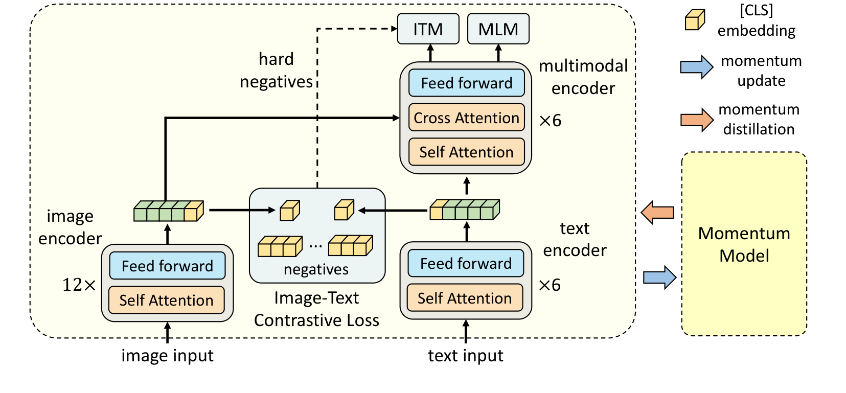 **Figure 1:** **Illustration of ALBEF.** It consists of an image encoder, a text encoder, and a multimodal encoder. We propose an image-text contrastive loss to align the unimodal representations of an image-text pair before fusion. An image-text matching loss (using in-batch hard negatives mined through contrastive similarity) and a masked-language-modeling loss are applied to learn multimodal interactions between image and text. In order to improve learning with noisy data, we generate pseudo-targets using the momentum model (a moving-average version of the base model) as additional supervision during training.