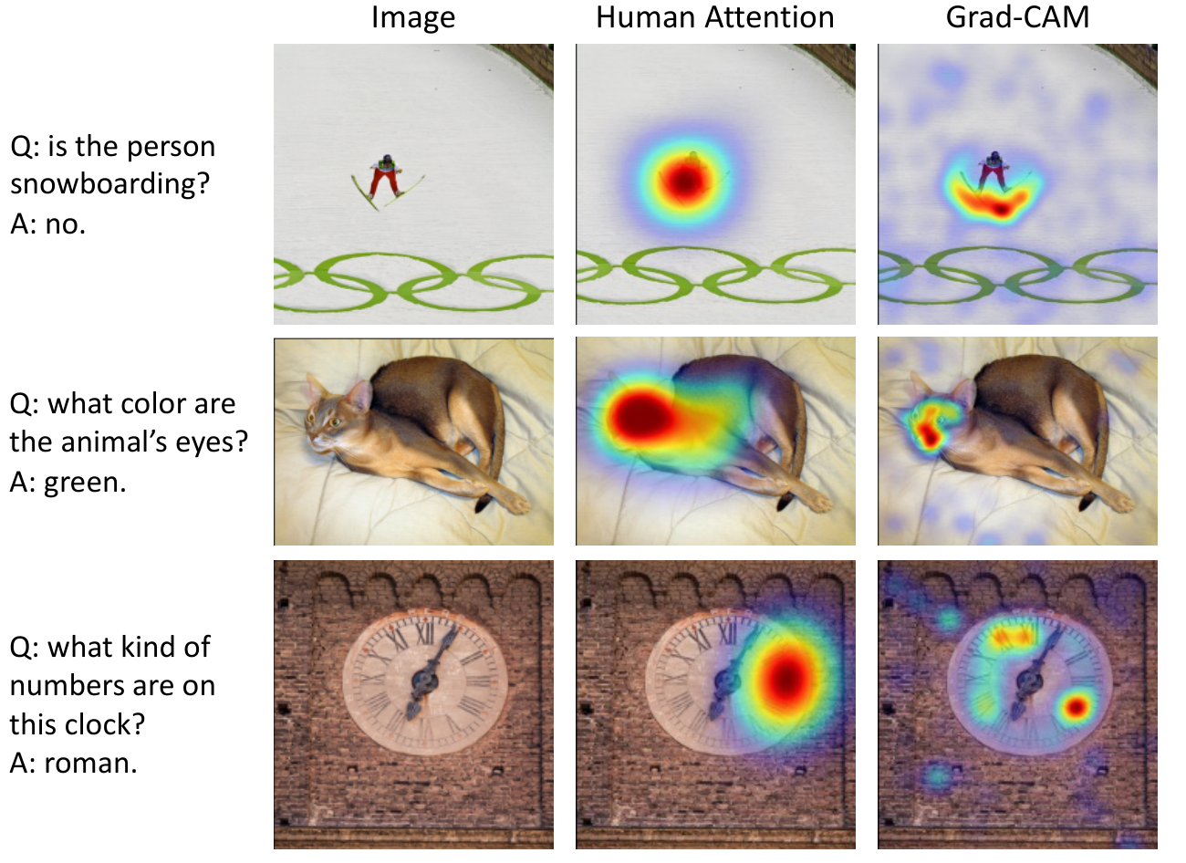 **Figure 10:** Qualitative comparison between human attention and ALBEF's Grad-CAM for VQA.