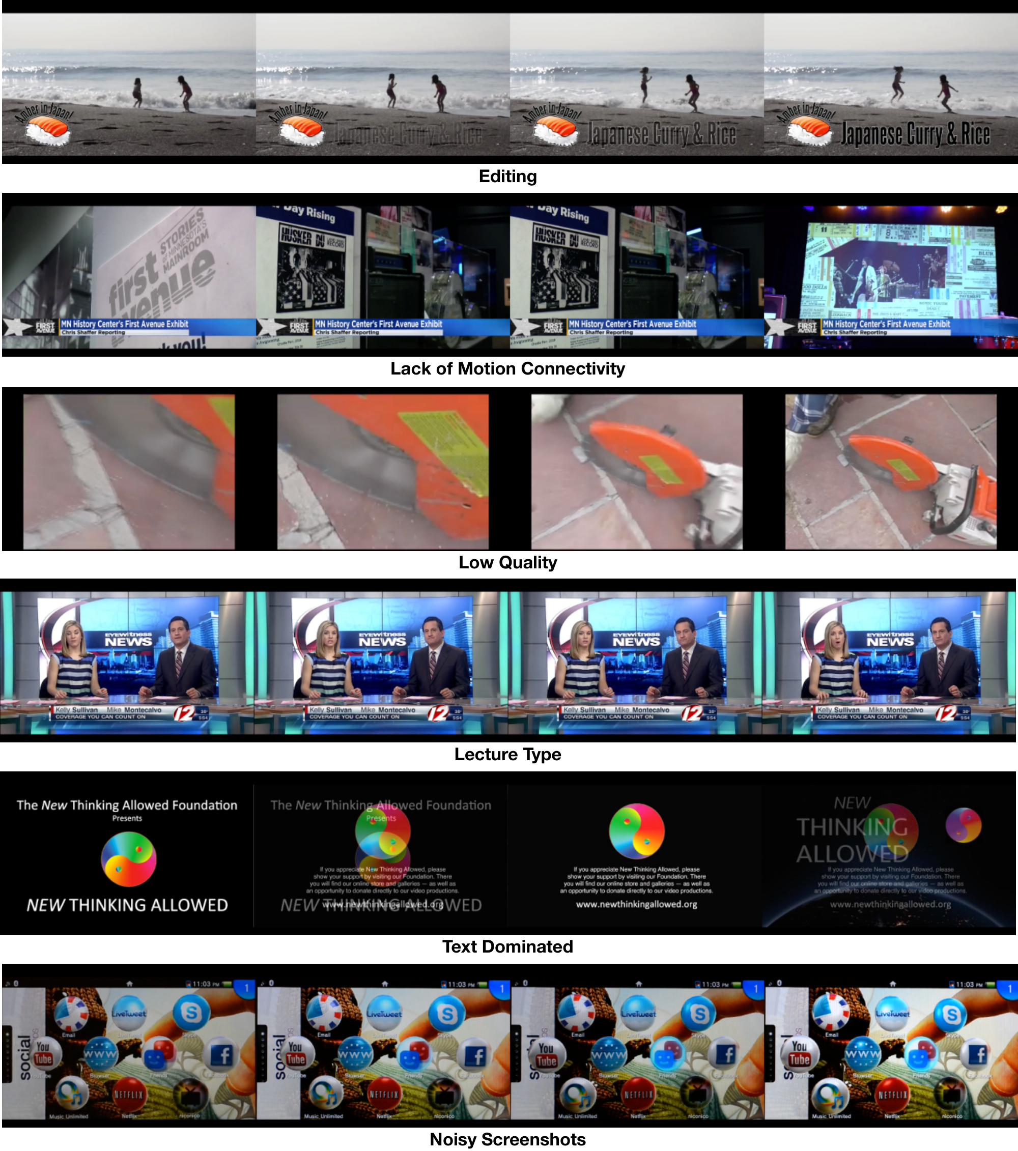 **Figure 16:** Examples of negative labels for video filtering.