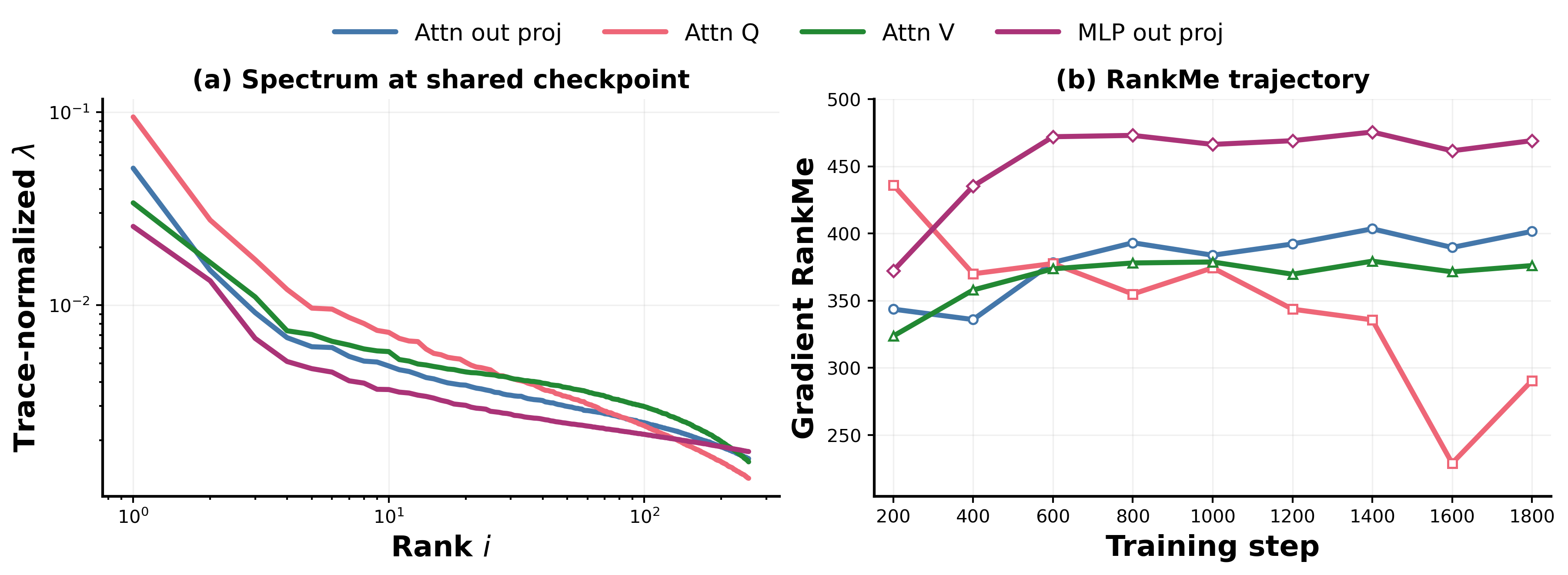 **Figure 6:** **Gradient spectra depend on the probed weight matrix.** Representative matrix-level comparison from the d12 BetterWin bs8 run at layer 11. The query projection, value projection, attention-output projection, and MLP-output projection produce different concentration levels and RankMe trajectories. This is why gradient spectra are interpreted as tensor-specific complements to activation spectra rather than architecture-level summaries.