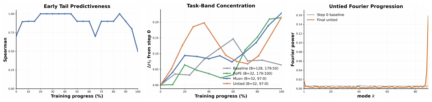 **Figure 4:** **Toy simulation links spectral diagnostics to Fourier feature learning.** (a) In the Muon stage, a local activation-tail statistic on ranks $10{:}40$ predicts eventual token efficiency early in training, reaching perfect Spearman correlation around $20\%$ training progress. (b) Targeted best-regime replays track $H_S$, the task-band concentration score used in the theory, across the baseline, RoPE, Muon, and untied stages. (c) The untied replay makes feature emergence explicit: the initial Fourier profile is diffuse, while the final profile concentrates on a few modes. Together, the panels support the interpretation that spectral changes track task-aligned feature recruitment in this controlled setting.