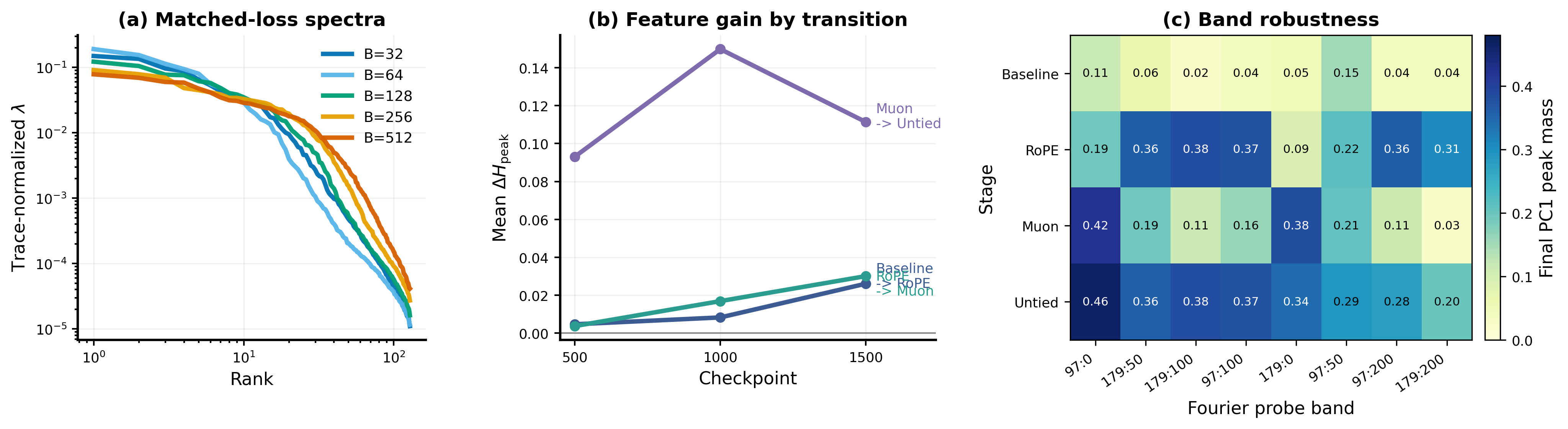**Figure 11:** **The modular-arithmetic toy links matched-loss spectra to task-aligned feature learning.** (a) At matched validation loss, the Untied toy runs retain batch-dependent activation spectra across $B \in \{32, 64, 128, 256, 512\}$, paralleling the hidden-regime phenomenon in the language-model experiments. Smaller batches produce visibly steeper tails. (b) Consecutive intervention gains measured by mean $\Delta H_{\mathrm{peak}}$ at three checkpoints. The Muon $\rightarrow$ Untied step produces a dramatic jump in feature concentration, while Baseline $\rightarrow$ RoPE and RoPE $\rightarrow$ Muon yield small, comparable gains. (c) A band sweep of final PC1 peak mass across eight Fourier probe bands. Untied is broadly strong across all bands; RoPE is broadly elevated but dips on the narrowest bands; Muon peaks precisely on those narrow bands while remaining low elsewhere; Baseline is uniformly weak. The pattern separates band-broad (representation-side) from band-narrow (optimization-side) signatures.
