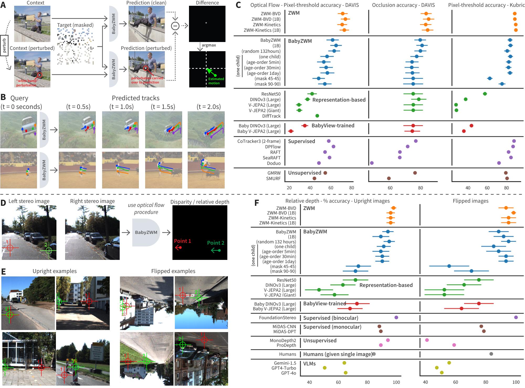 **Figure 1:** **BabyZWM estimates optical flow and relative depth estimation zero-shot.** (**A**) Optical flow method. (**B**) Flow predictions as tracks. (**C**) BabyZWM is competitive with state-of-the-art supervised flow models despite BabyView training and no labels. (**D**) Relative depth method (built on optical flow). (**E**) Benchmark examples (upright and flipped). (**F**) BabyZWM beats supervised monocular (but not supervised binocular) depth models. Error bars indicate bootstrap 95% intervals throughout the paper.