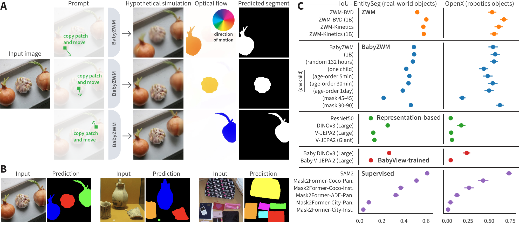 **Figure 2:** **BabyZWM performs object segmentation zero-shot.** (**A**) Motion hypotheticals and segmentation procedure. (**B**) Segmentation predictions. (**C**) BabyZWM matches supervised segmenters, except SAM2.
