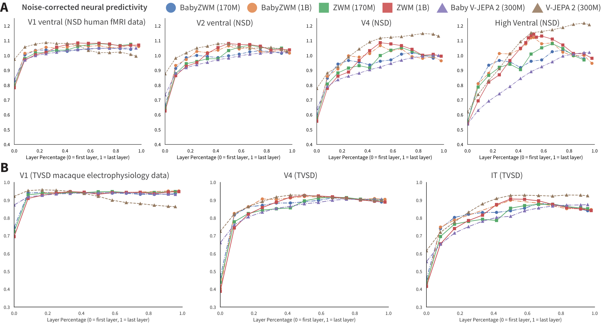 **Figure 7:** **Neural predictivity across NSD and TVSD.** (**A**) Cross-validated noise-corrected correlations between model features and human fMRI responses (NSD). (**B**) Cross-validated noise-corrected correlations between model features and macaque single-neuron electrophysiology responses (TVSD). Both benchmarks show hierarchically organized layer-area correspondences for BabyZWM and baseline models.