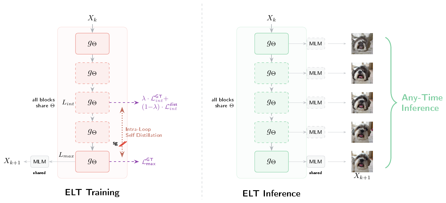 **Figure 3:** **Overview of ELT framework**. Training (left) utilizes shared parameters $\Theta$ with recurrent loops and Intra-Loop Self Distillation (ILSD) to improve intermediate representations. This enables Any-Time inference (right), allowing the model to exit early and predict $X_{k+1}$ from any intermediate block via a shared MLM head. Note that $X_{k}$ represents the input for $k^{th}$ sampling iteration and output images in ELT Any-Time Inference (right) assume $k = K$ (last sampling step). Refer Section 3 for details of annotations.