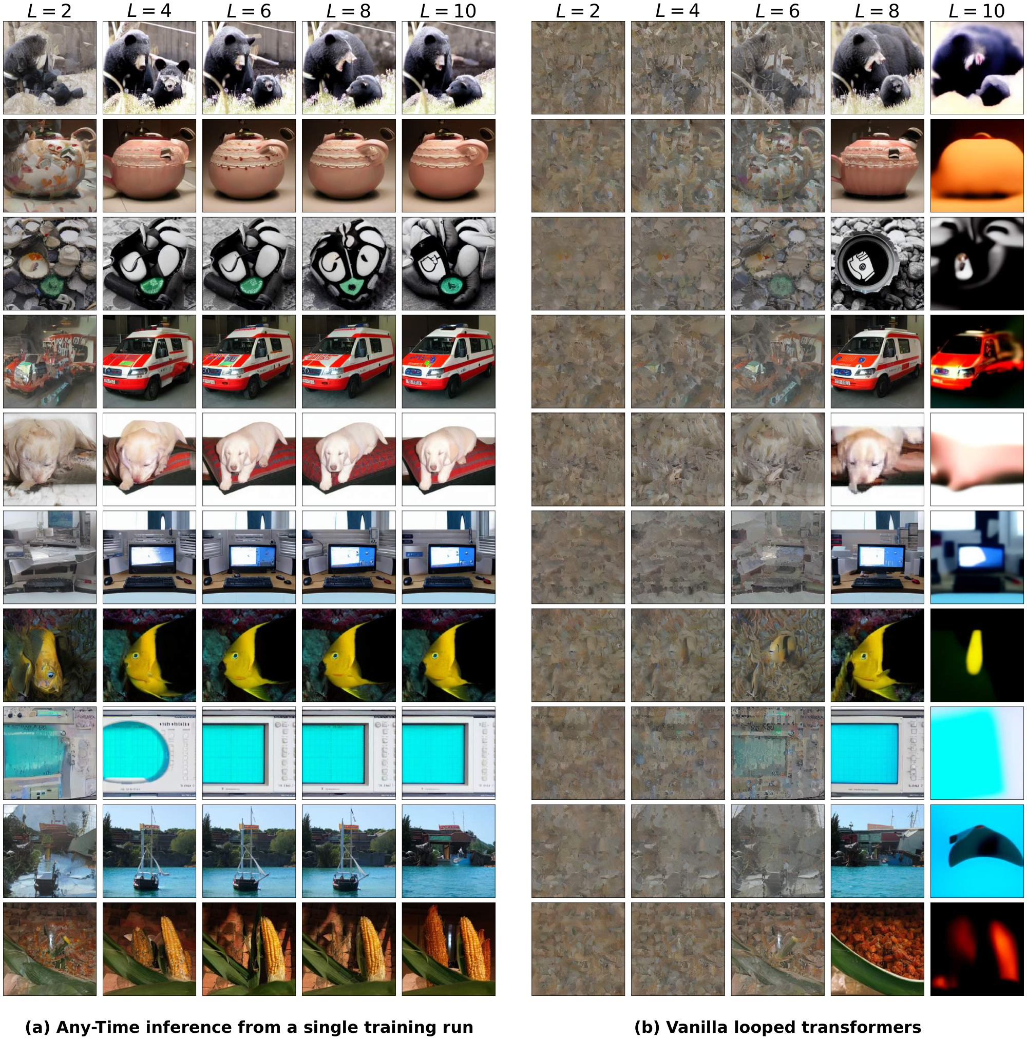 **Figure 9:** **Class-conditional Image Generation on ImageNet $\bm{256 \times 256}$**. Comparing our proposed Elastic Looped Transformers (left) against vanilla looped transformers (right), which simply repeat transformer layers during a forward pass of diffusion. As shown, standard looping only produces a coherent image when the inference loop count exactly matches its training setup ($L=8$), with quality severely degrading at all other values. In contrast, our proposed ELT enhances vanilla looping with Self Distillation, maintaining a high-fidelity generation across several evaluated compute budgets.