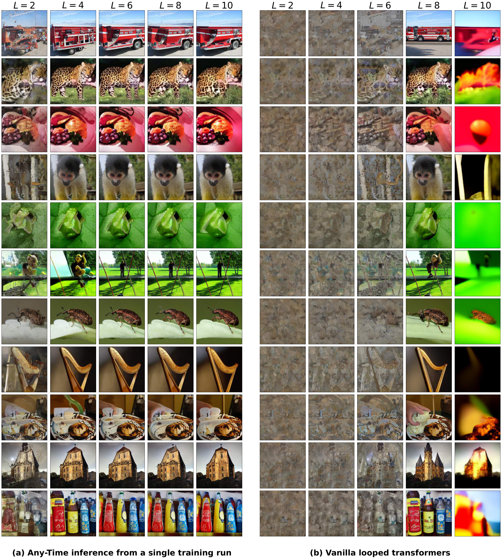 **Figure 10:** **Class-conditional Image Generation on ImageNet $\bm{256 \times 256}$**. Comparing our proposed Elastic Looped Transformers (left) against vanilla looped transformers (right), which simply repeat transformer layers during a forward pass of diffusion. As shown, standard looping only produces a coherent image when the inference loop count exactly matches its training setup ($L=8$), with quality severely degrading at all other values. In contrast, our proposed ELT enhances vanilla looping with Self Distillation, maintaining a high-fidelity generation across several evaluated compute budgets.