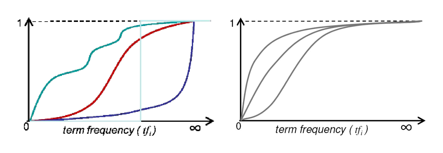 Fig. 3.2 Left: some possible saturation functions. Right: saturation functions generated by the 2-Poisson model.