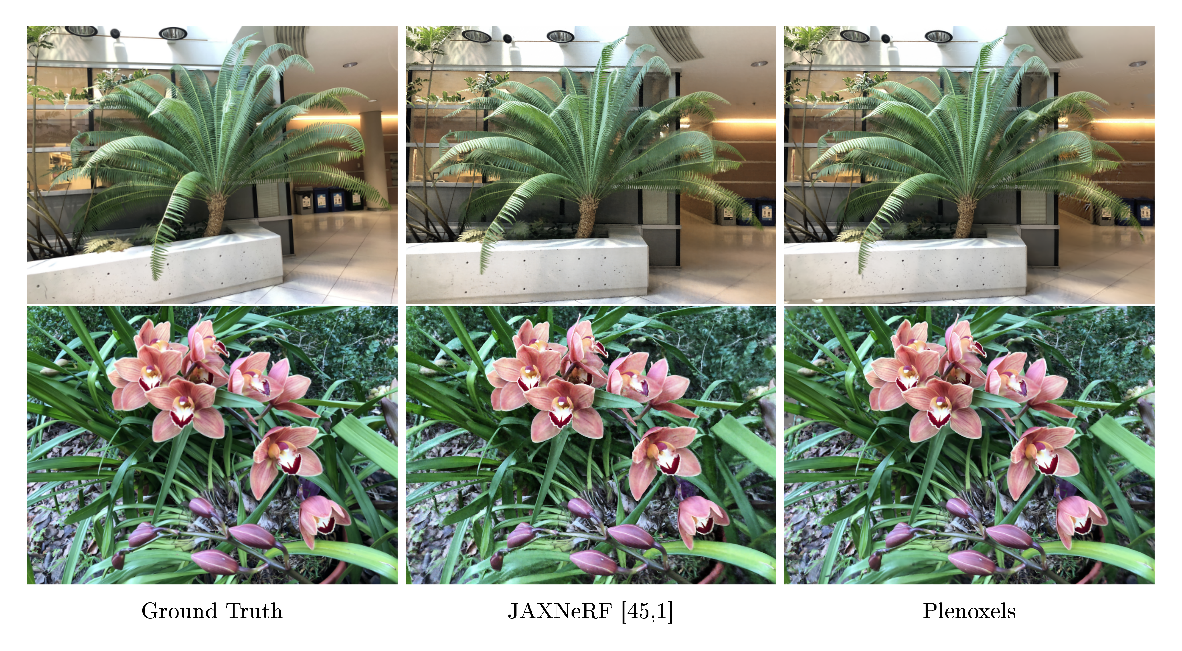 **Figure 7:** **Real, forward-facing scenes.** Example results on the fern and orchid forward-facing scenes from NeRF.
