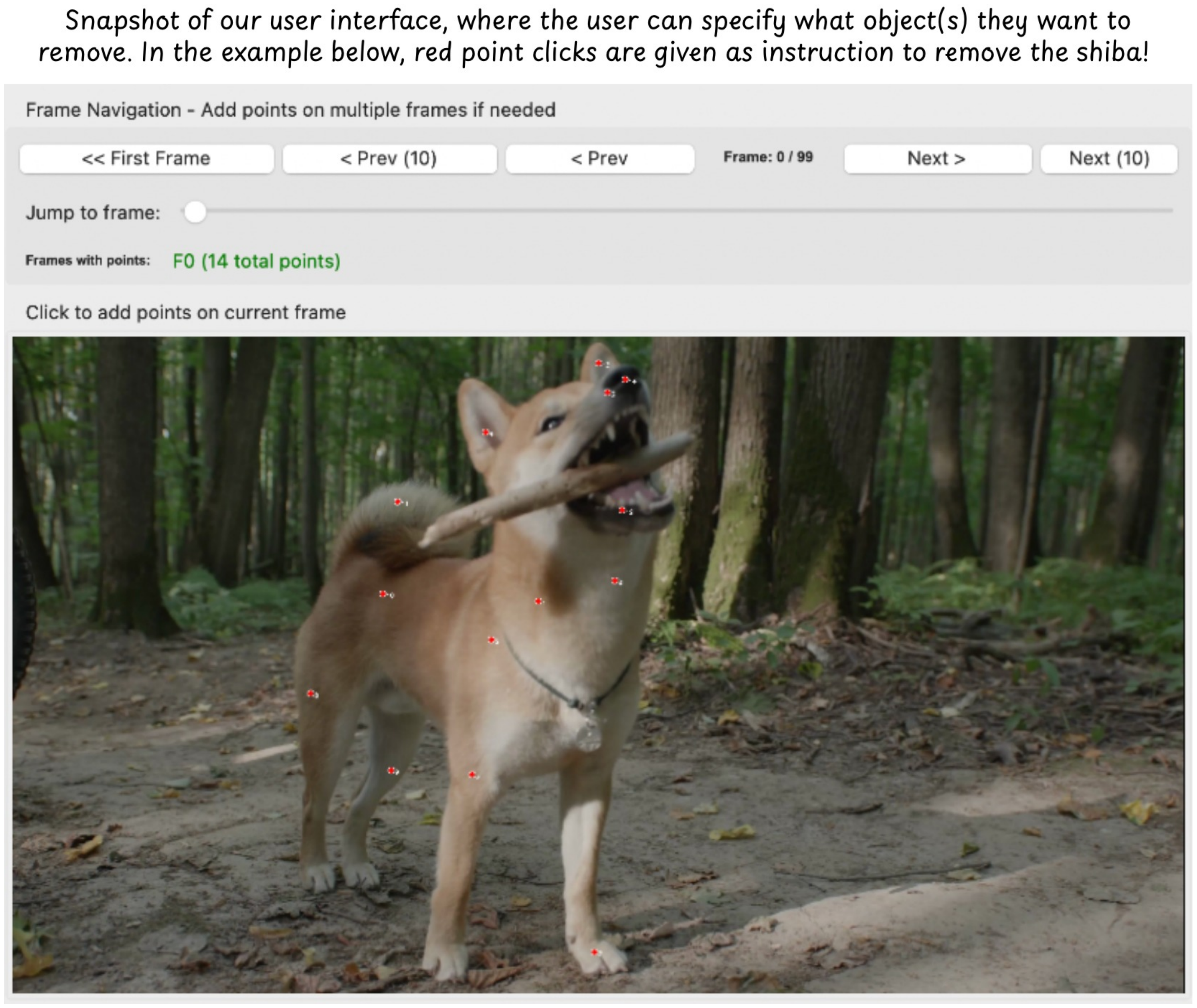 **Figure 7:** User interface for mask generation. The user selects sparse points on the target object, and the VLM generates the removal mask.