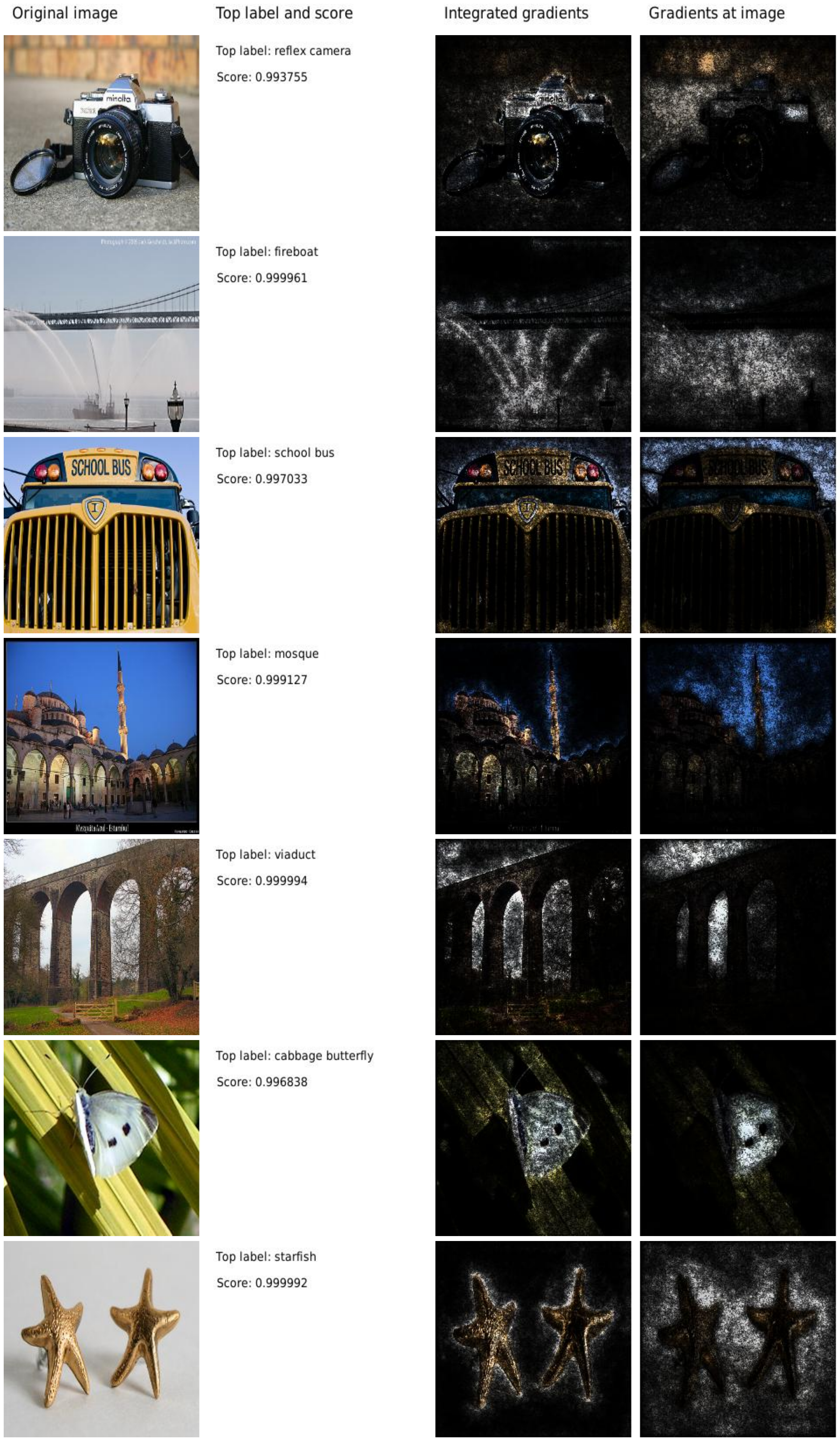 **Figure 2:** **Comparing integrated gradients with gradients at the image.** Left-to-right: original input image, label and softmax score for the highest scoring class, visualization of integrated gradients, visualization of gradients*image. Notice that the visualizations obtained from integrated gradients are better at reflecting distinctive features of the image.
