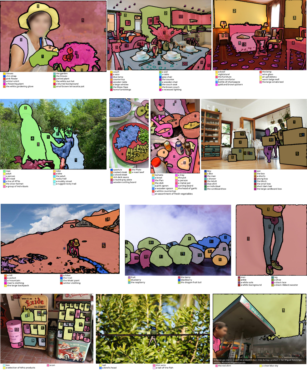 **Figure 22:** Example predictions on the {{SA-Co} /Gold} dataset. As these are model outputs, occasional errors may be present.