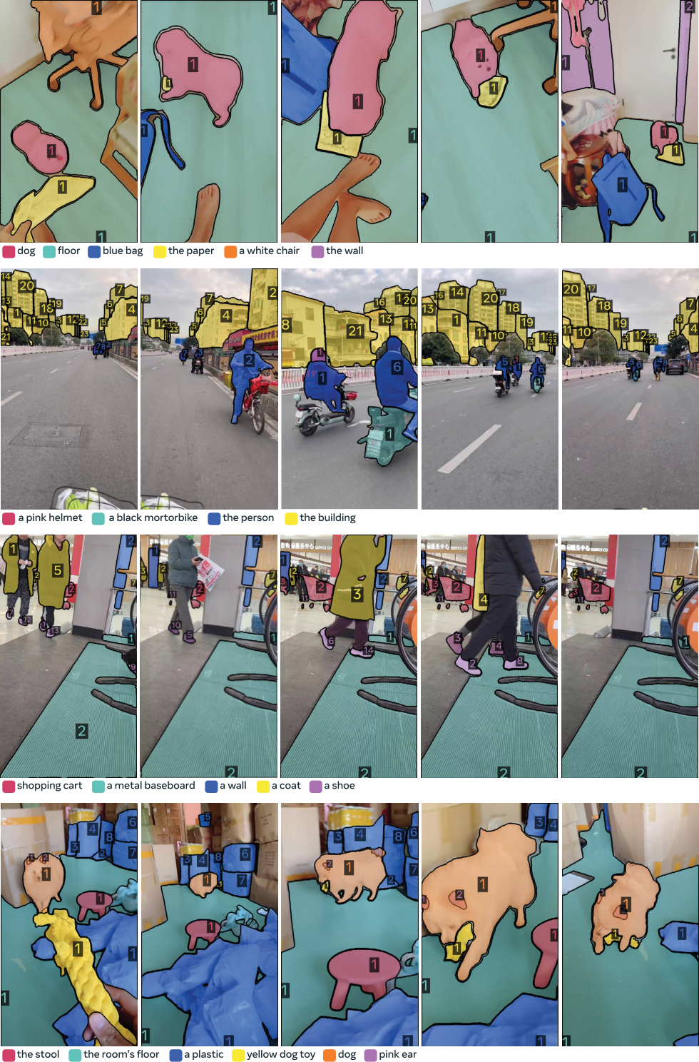 **Figure 16:** Example annotations from the SA-V media in the {{SA-Co} /VIDEO} and {{SA-Co} /VEval} datasets.