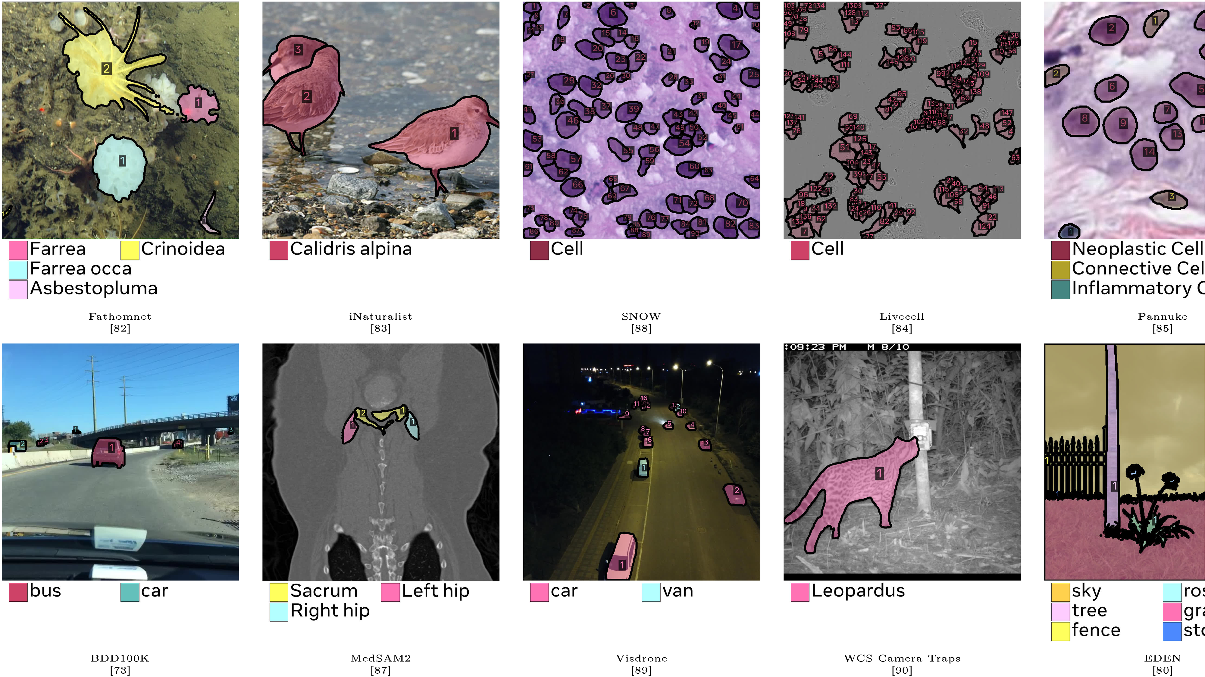 **Figure 13:** Per-domain examples in {{SA-Co} /EXT}. Shown with annotated phrases and masks overlaid.