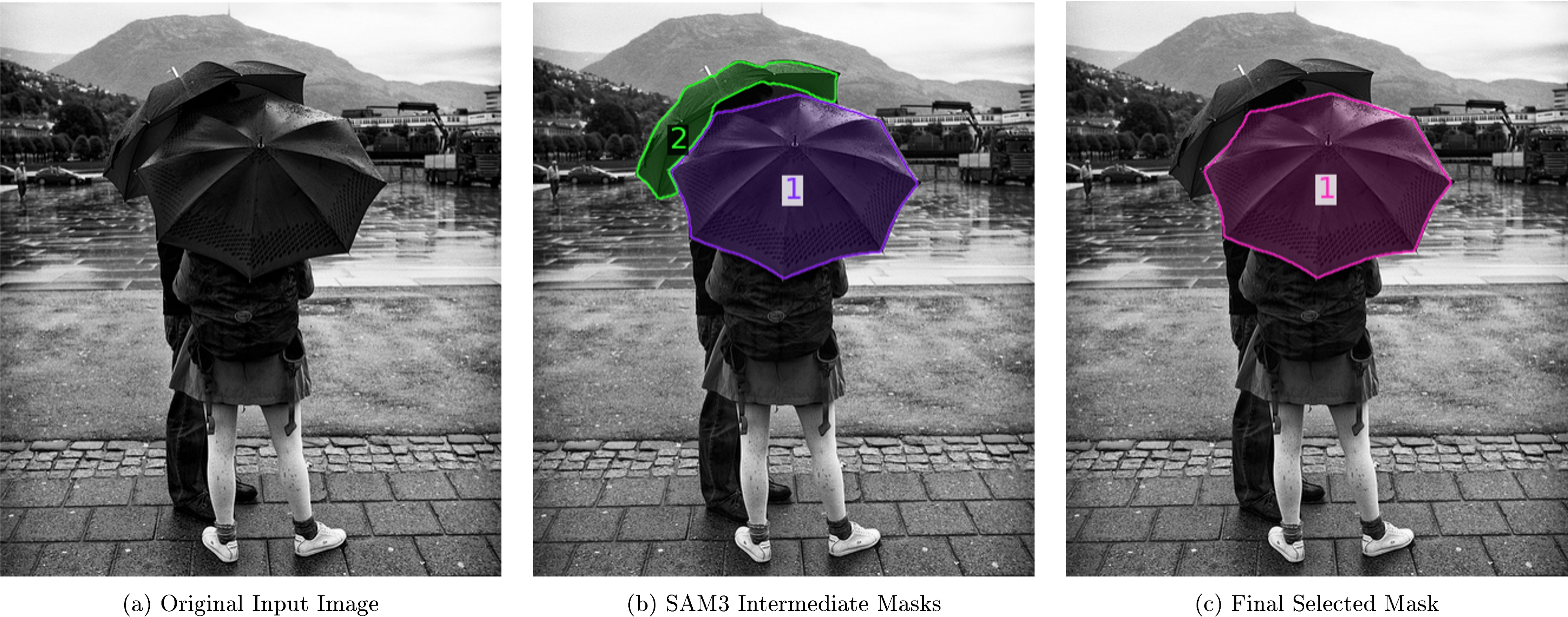 **Figure 26:** Error example of SAM 3 Agent (Qwen2.5-VL 72B) including the original input image and SAM 3 intermediate output masks. The textual user query is "A black object that protects you from the rain, being held by a person in jeans". The agent was able to reason and find a suitable grounding target for calling SAM 3 ("black umbrella"). However, it failed to select the correct mask during final mask selection due to a visual reasoning error by the MLLM.