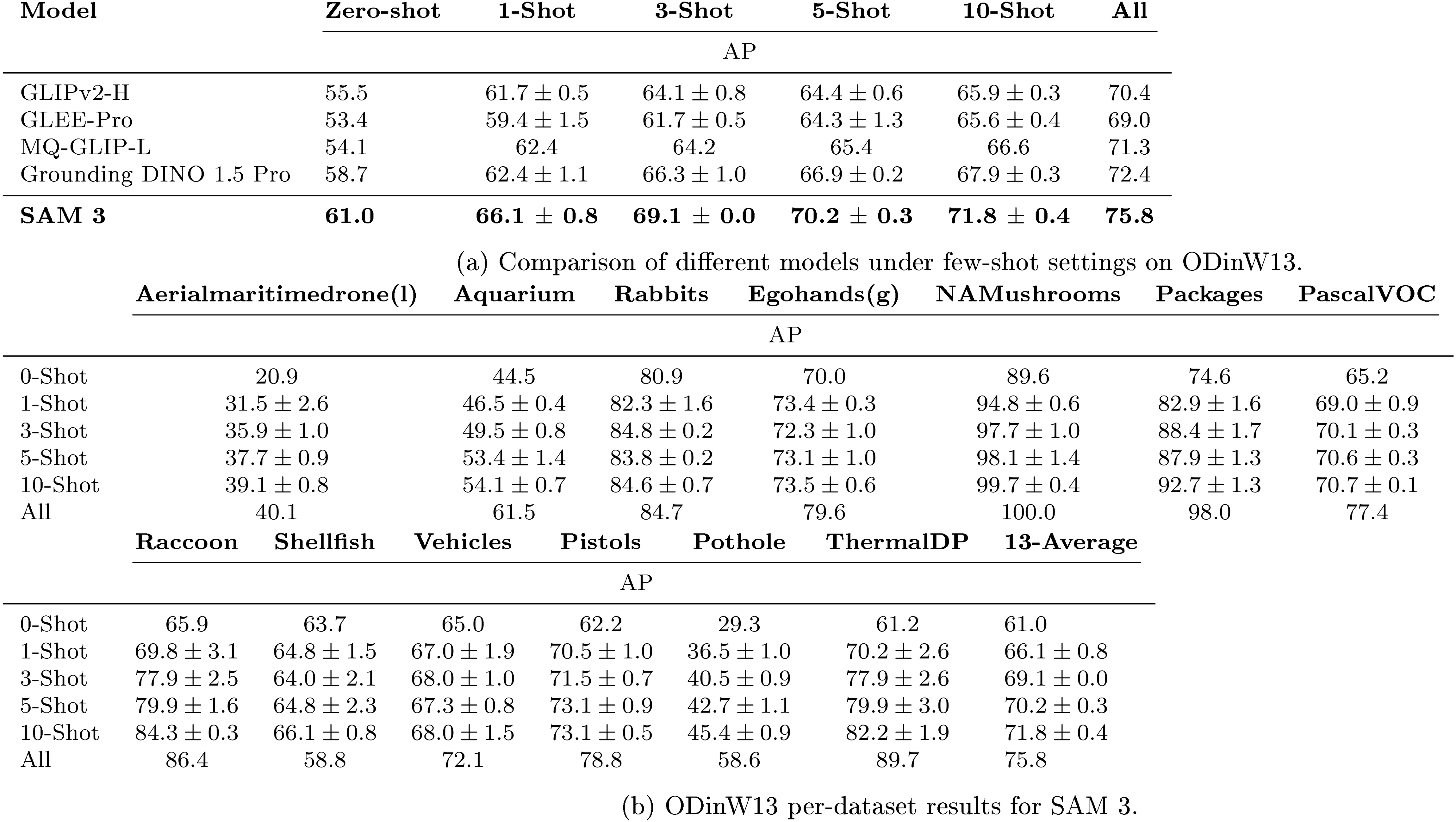 **Figure 20:** Zero-shot and few-shot results on ODinW13.