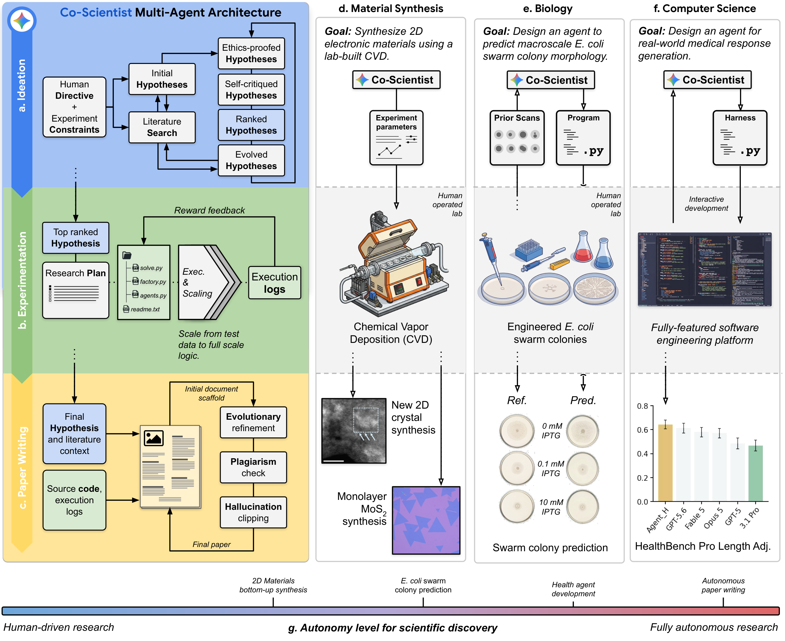 **Figure 1:** **The extended Co-Scientist architecture and overview of scientific contributions.** To bridge the gap between computational ideation and physical validation, we extend Co-Scientist to integrate iterative reasoning with autonomous code execution, and empirical verification, adapting human–AI collaboration to the constraints of each domain. **a–c,** Co-Scientist multi-agent architecture. **a,** *Ideation:* given a research directive and constraints, Co-Scientist explores and refines a hypothesis set based on safety, novelty, plausibility, testability and guided by Bayesian-exploration. **b,** *Experimentation:* the top-ranked hypothesis is converted into an experiment plan, which the system follows to produce research code, initially scaffolded using minimal data, then expanded to full-scale execution. **c,** *Paper writing:* code and execution logs are synthesized into a manuscript with plagiarism checks and cross-verification of claims. **d,** *2D Materials synthesis:* Co-Scientist designs safe CVD protocols that human experts execute and optimize, yielding 2D layered structures exhibiting similar characteristics as the $\text{Ti}_3\text{C}_2\text{T}_x$ MXene (atomic confirmation pending) and achieving single-attempt monolayer transition metal dichalcogenides (TMDs) growth. **e,** *Phenotypic prediction:* a vision pipeline predicts *E. coli* swarming morphologies across an IPTG gradient (0–10 mM), with predictions showing quantitative concordance with wet-lab measurements and correctly capturing the absence of a dose-response in the control strain. **f,** *Agent architecture discovery:* without human intervention, Co-Scientist discovers $\textsc{Agent\_H}$, which outperforms frontier models on length-adjusted HealthBench Hard and Professional and reduces clinical harm under blinded physician evaluation. **g,** The studies span a continuum from human-executed synthesis (**d**) through expert–AI collaboration (**e**) to fully autonomous discovery (**f**) and end-to-end manuscript generation, where a double-blind study (30 experts, 450 reviews) shows that Co-Scientist's reliability modules reduce severe hallucination and plagiarism.