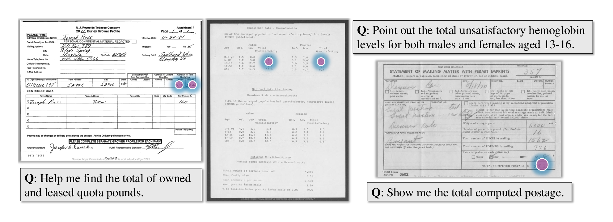 Figure 11: Examples from our newly collected DocPointQA dataset.