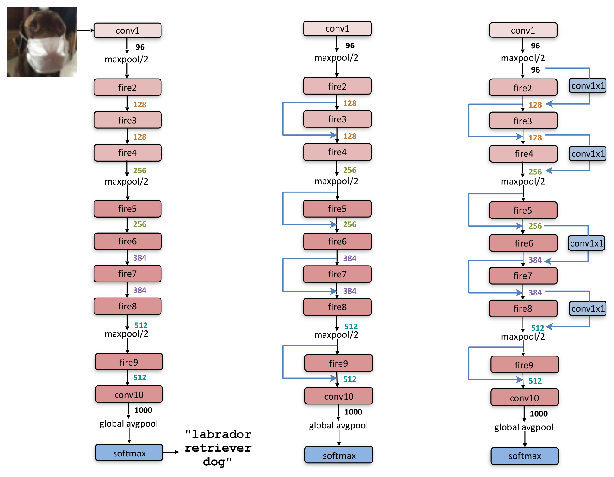 **Figure 2:** Macroarchitectural view of our SqueezeNet architecture. Left: SqueezeNet (Section 3.3); Middle: SqueezeNet with simple bypass (Section 6); Right: SqueezeNet with complex bypass (Section 6).
