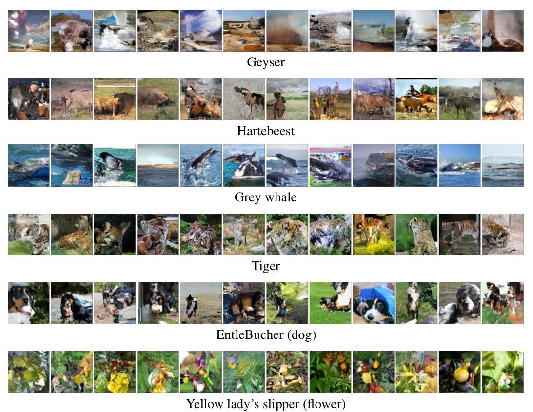 Figure 7: Class-Conditional (multi-scale $64 \times 64$) samples from the Conditional Pixel CNN.