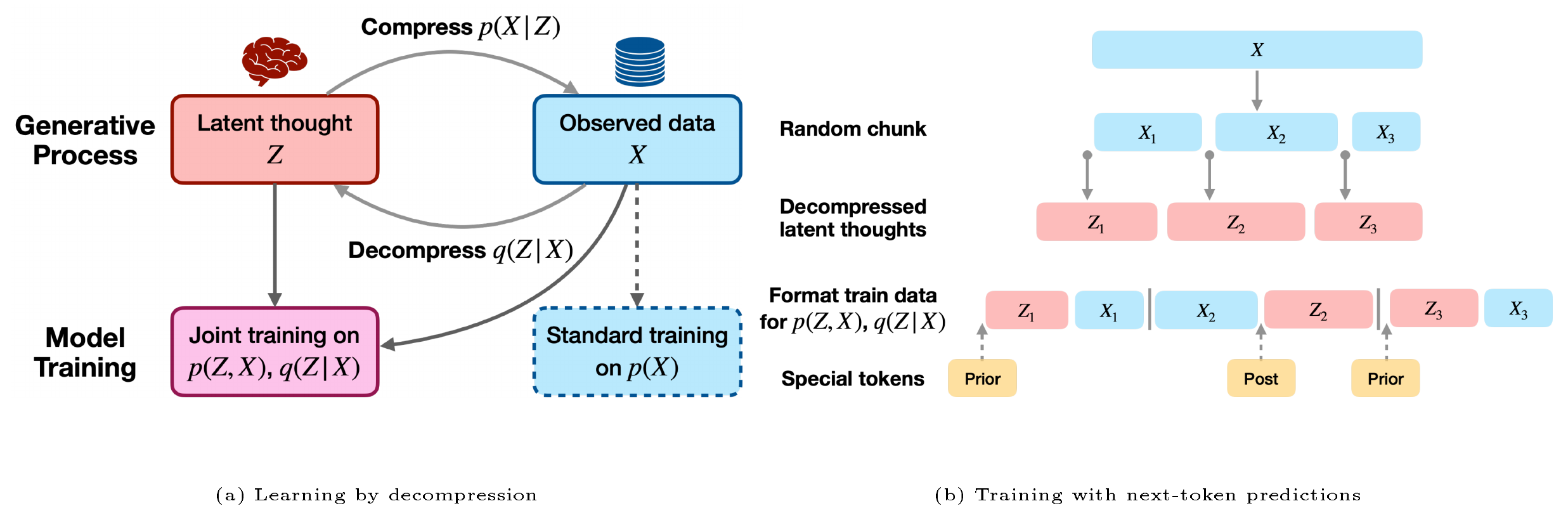 **Figure 2:** **Reasoning to learn with latent thought models** (a) The latent thought model is trained to "decompress" plausible human thoughts underlying the observed data (*i.e.*, $q(Z \, \vert \, X)$) and to utilize the latent thoughts in learning more efficiently from the data (*i.e.*, $p(Z, X)$), resembling a deliberate human thought process. (b) The latent thought is modeled for each chunk of text in an autoregressive manner and in the same discrete text space. Given paired data $\left\{(Z_n, X_n)\right\}_{n=1}^N$, we use standard next-token prediction to train a single LM as both the $p(Z, X)$ and $q(Z|X)$, by randomly placing $Z_n$ before or after $X_n$ in the sequence. This strategy allows for minimal modifications to the standard LM pretraining pipeline.