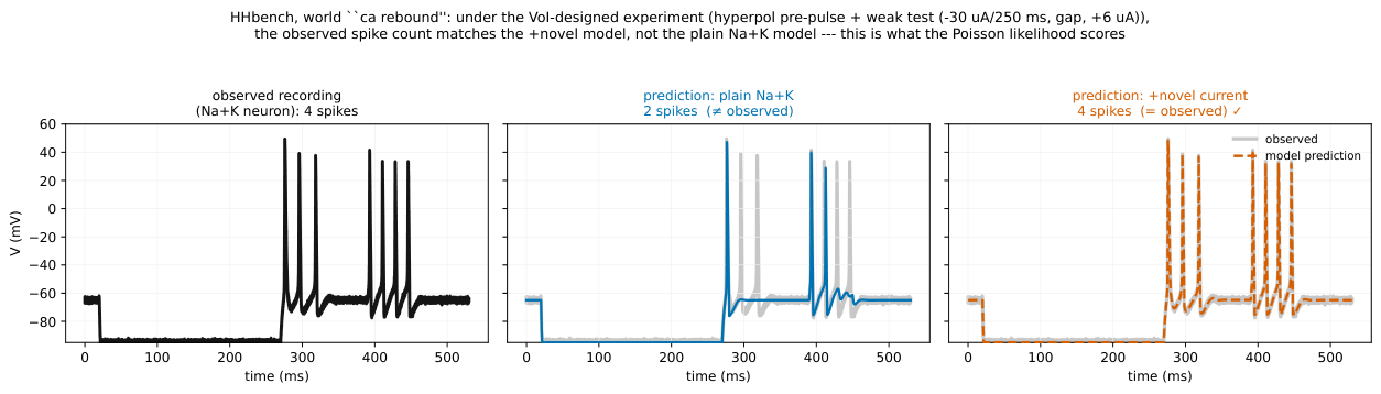 **Figure 23:** **Visualizing the predictions of two different models on $\textsc{ca-rebound}$**. We show the *observed* recording (left) and the spike response *predicted* by each candidate structure (plain Na+K neuron in middle, augmented model with novel channel on right) under the VoI-designed experiment. The plain Na $+$ K neuron fires $2$ spikes and misses the rebound (middle, $\ne$ observed); the neuron with the extra current fires the $4$-spike rebound burst that matches the data (right, $=$ observed). The Poisson likelihood scores exactly this: the spike count each *deterministic* model predicts is the Poisson rate Equation (24), so the observed count identifies the mechanism.