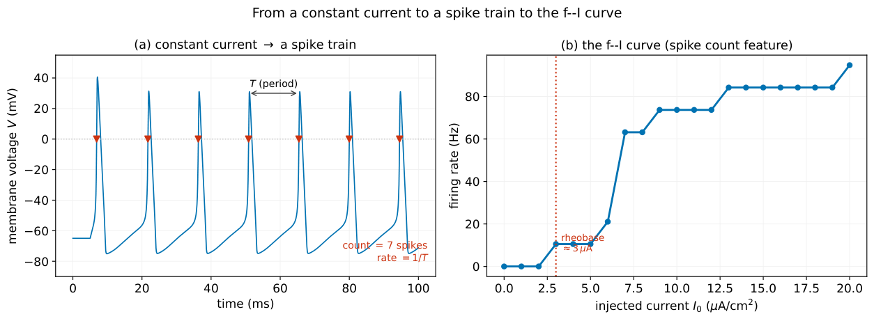 **Figure 18:** **The f–I curve, and why we count spikes.** *(a)* A constant supra-threshold current makes the model fire a periodic *spike train*; the readout is simply the *spike count* (red markers) — or, per unit time, the firing rate $1/T$. *(b)* Sweeping the injected current traces the *f–I curve* (firing rate vs. current): flat and zero below the *rheobase* (the smallest current that fires, red), then rising. This matches the intuitive "how many spikes" readout.
