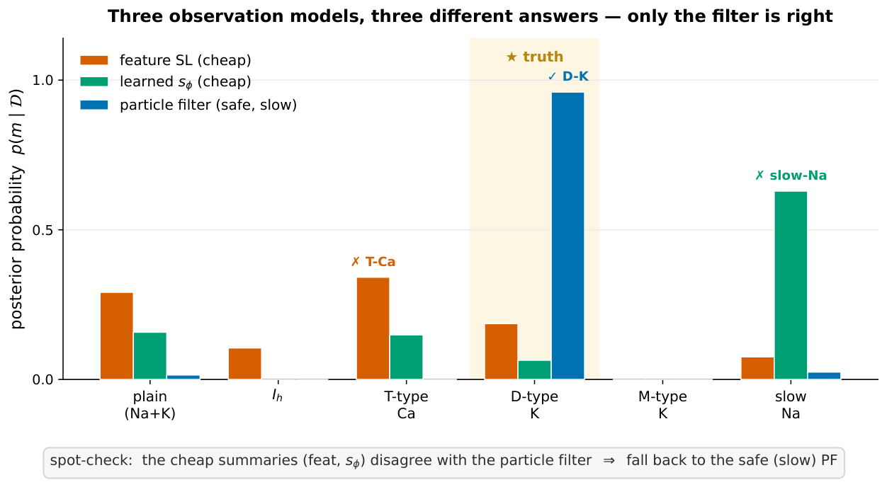 **Figure 31:** **The particle-filter spot-check** ($\textsc{d-type}$, fixed archetype pool, $N_{\text{noise}}{=}100$). The two cheap observation models disagree with each other *and* with the particle filter: the fixed-feature synthetic likelihood picks T-type Ca and the learned $s_\phi$ picks slow-Na$^+$, while only the assumption-free particle filter recovers the true D-type K current ($\star$). Because a selected cheap model's MAP disagrees with a PF spot-check on the collected data, the auto-select of Equation 12 falls back to the safe — but ${\sim}7\times$ slower — filter. The truth-free discrimination probe alone cannot catch this: it averages over generators, so a summary that confuses one pair while separating the rest still scores well.