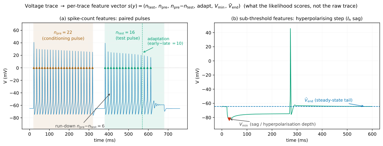 **Figure 22:** **From a raw voltage trace to the per-trace feature vector $s(y)$ of Equation 22**, computed on real $\textsc{NeuronBench}$ traces. *(a)* On a paired-pulse protocol the spike-count features are the test- and pre-pulse counts ($n_{\mathrm{test}}$, $n_{\mathrm{pre}}$; upward $0$ mV crossings, triangles), their use-dependent *run-down* $n_{\mathrm{pre}}{-}n_{\mathrm{test}}$ (here the slow-Na $\textsc{na-fatigue}$ cell fires less on the second pulse), and the within-pulse *adaptation* (early-half minus late-half of the test window, dashed divider). *(b)* On a hyperpolarising step the sub-threshold features are the voltage minimum $V_{\min}$ (the $I_h$ sag / hyperpolarisation depth) and the steady-state tail $\bar{V}_{\mathrm{end}}$. These six numbers — not the raw trace — are what the synthetic likelihood and the feature-forecast metric score.