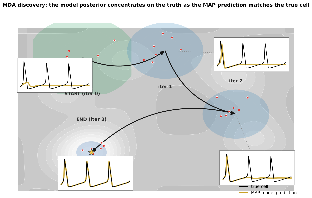 **Figure 6:** **MDA discovery as posterior concentration over model space** (schematic, after Fig. 1 of ModelSMC ([23])). Across the discovery iterations the model posterior (particle clouds; red dots $=$ particles) tightens from a diffuse prior (green) onto the true mechanism (blue, $\star$), while the MAP model's predicted voltage trace (*yellow*) sharpens from a poor fit to a spike-for-spike match with the true cell (*black*). Each iteration acquires one VoI-designed experiment and re-infers the model posterior on the growing dataset (Algorithm 1 and Algorithm 3).