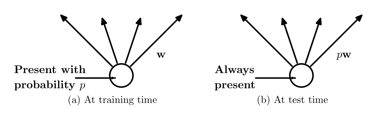 Figure 2: Left: A unit at training time that is present with probability $p$ and is connected to units in the next layer with weights $\mathbf{w}$. Right: At test time, the unit is always present and the weights are multiplied by $p$. The output at test time is same as the expected output at training time.