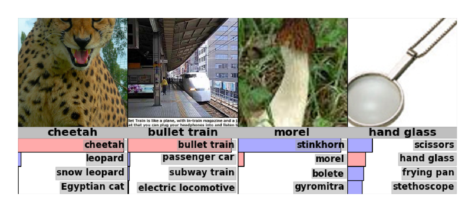 Figure 6: Some ImageNet test cases with the 4 most probable labels as predicted by our model. The length of the horizontal bars is proportional to the probability assigned to the labels by the model. Pink indicates ground truth.