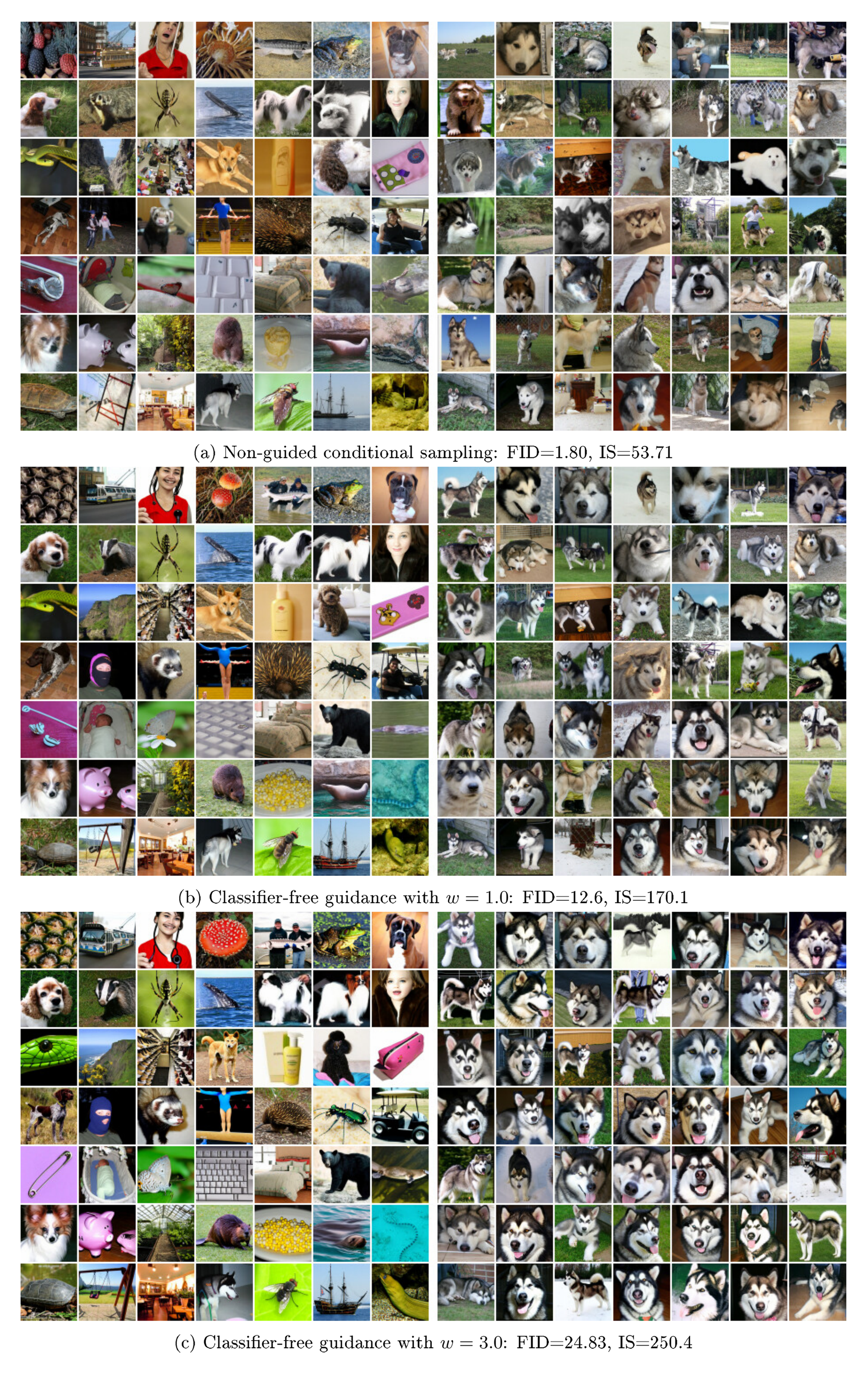 **Figure 6:** Classifier-free guidance on ImageNet 64x64. Left: random classes. Right: single class (malamute). The same random seed was used for sampling in each subfigure.
