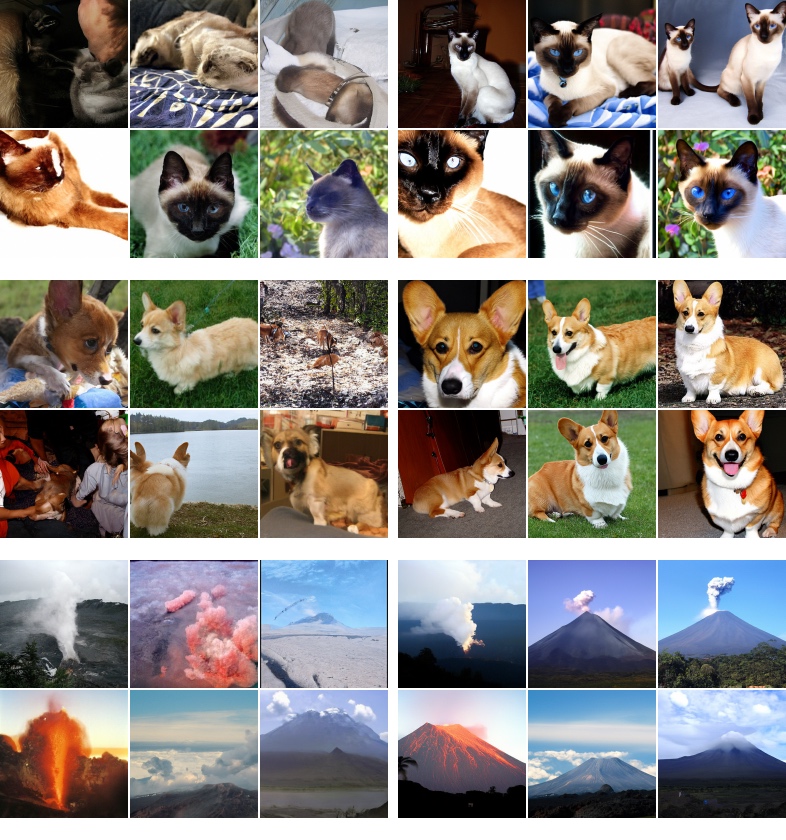 **Figure 3:** Classifier-free guidance on 128x128 ImageNet. Left: non-guided samples, right: classifier-free guided samples with $w=3.0$. Interestingly, strongly guided samples such as these display saturated colors. See Fig. 8 for more.