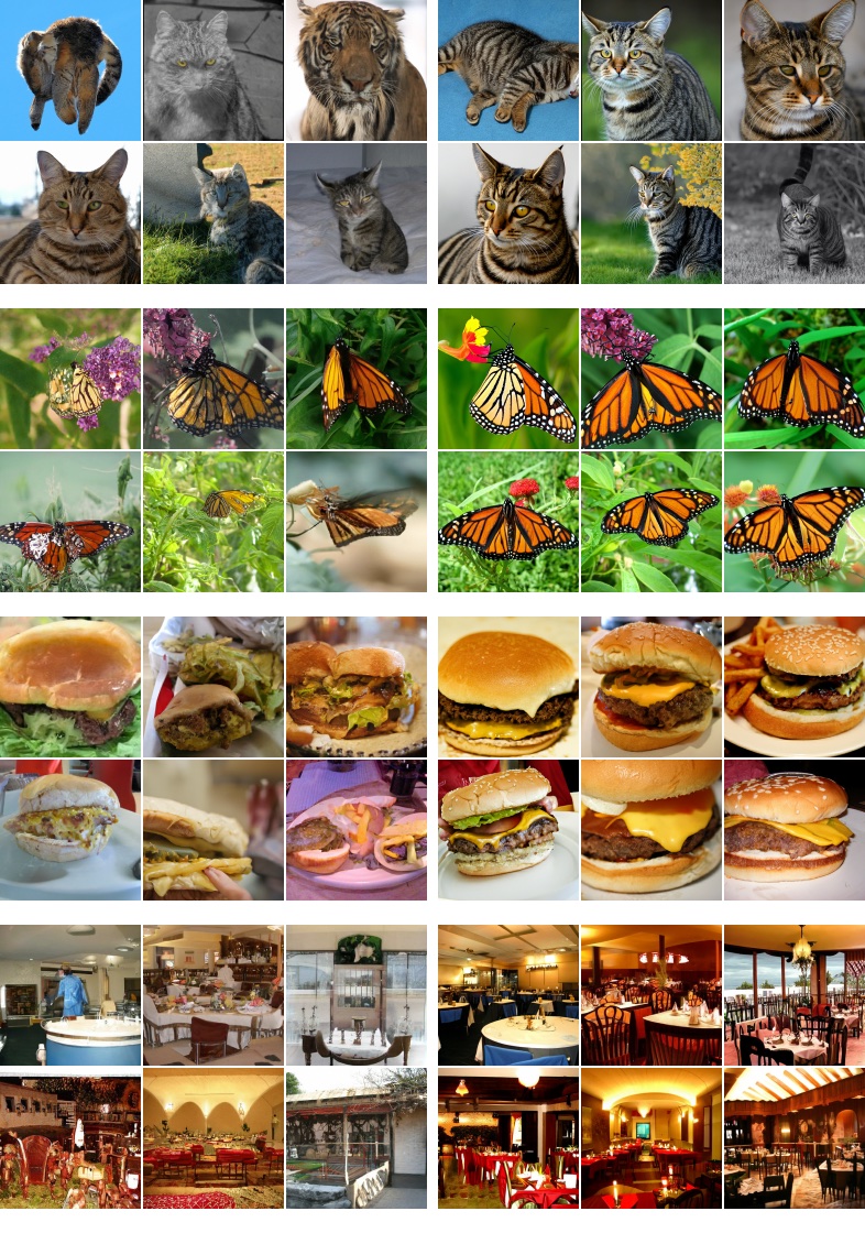 **Figure 8:** More examples of classifier-free guidance on 128x128 ImageNet. Left: non-guided samples, right: classifier-free guided samples with $w=3.0$.