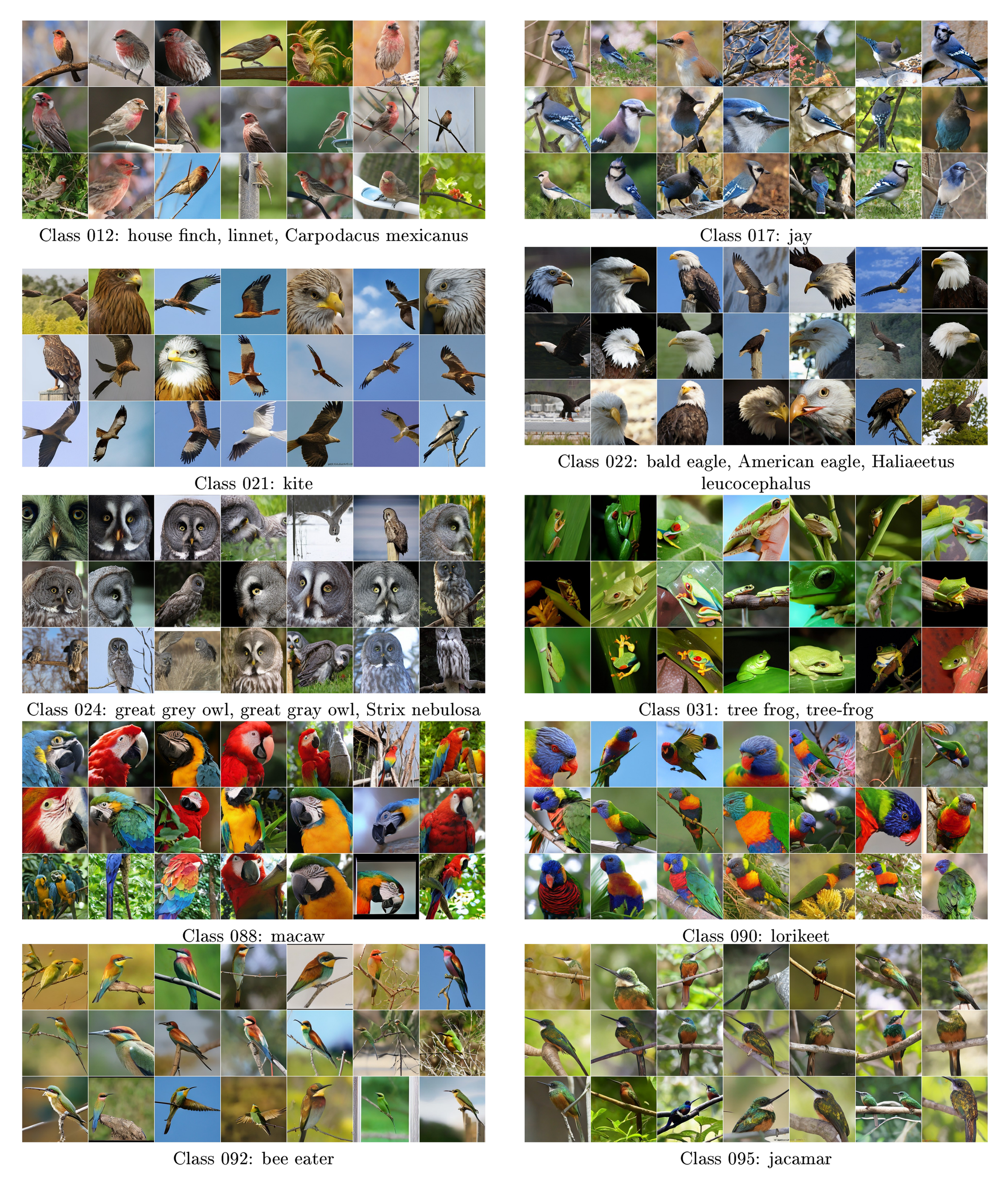 **Figure 12:** **Uncurated samples from our latent-L/2 model with CFG = 1.0 (page 1/4).** FID = 1.54, IS = 258.9.