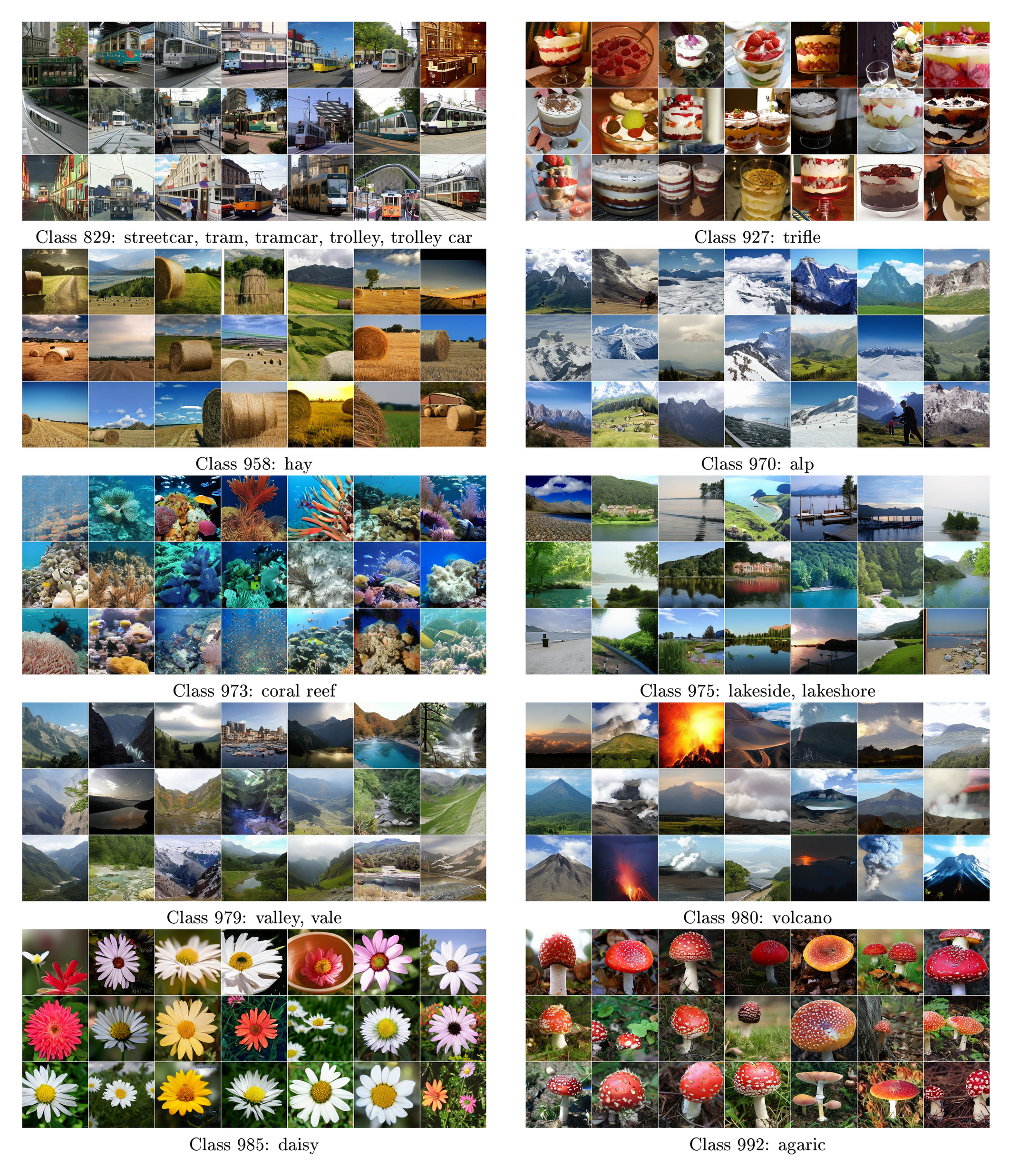 **Figure 15:** **Uncurated samples from our latent-L/2 model with CFG = 1.0 (page 4/4).** FID = 1.54, IS = 258.9.