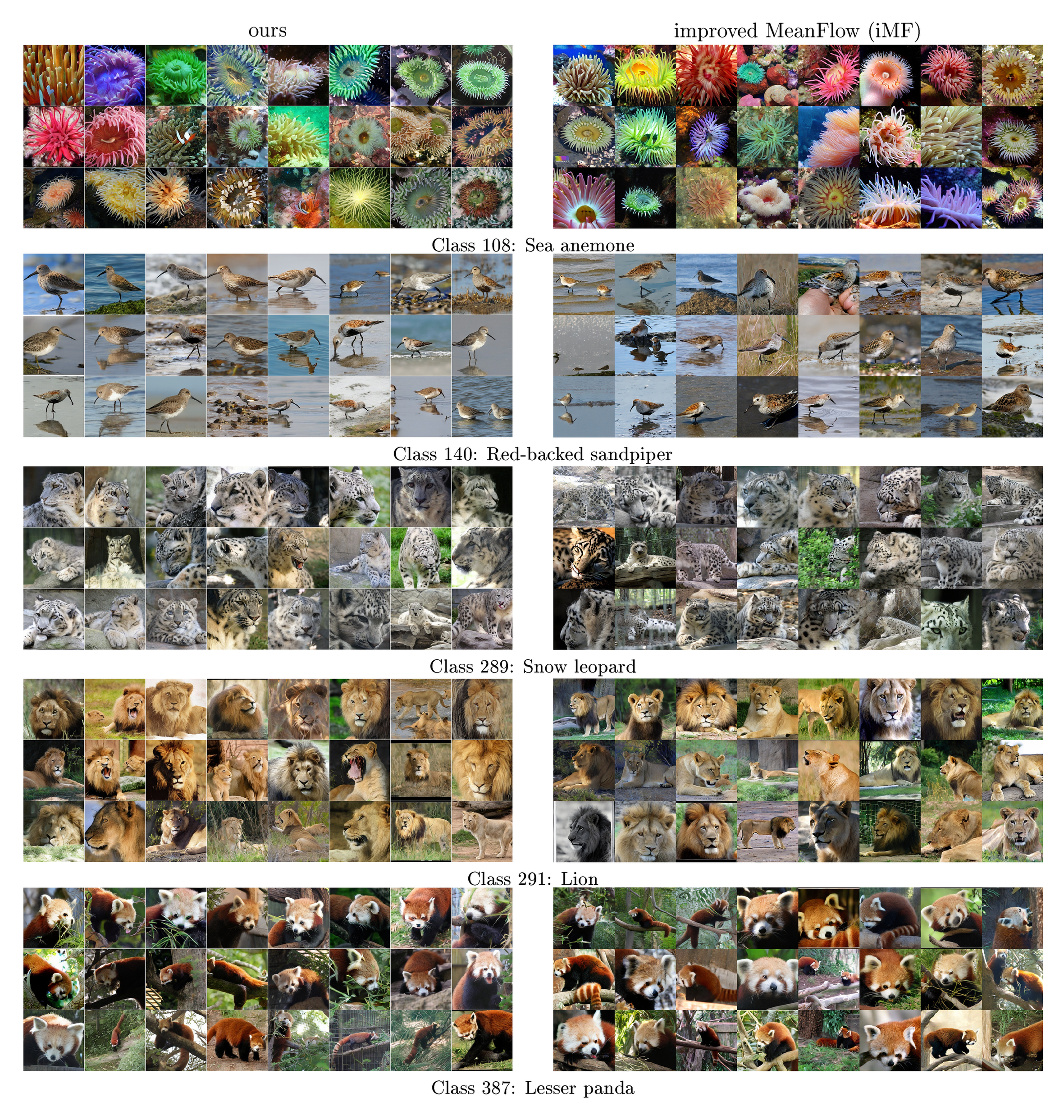 **Figure 17:** **Side-by-side comparison with improved MeanFlow (iMF) [40] (page 2/5).** Uncurated samples from our method (left) and iMF (right) on **all** ImageNet classes visualized in the iMF paper. Both methods generate images with a single neural function evaluation (1-NFE). The iMF visualizations use CFG $\omega{=}6.0$ and interval $[t_\text{min}, t_\text{max}]{=}[0.2, 0.8]$, achieving FID 3.92 and IS 348.2 (DiT-XL/2). For fair comparison, we set the CFG scale to match the IS of iMF visualizations, which leads to FID 3.01 and IS 354.4 (at CFG=1.5) for our method (DiT-L/2).