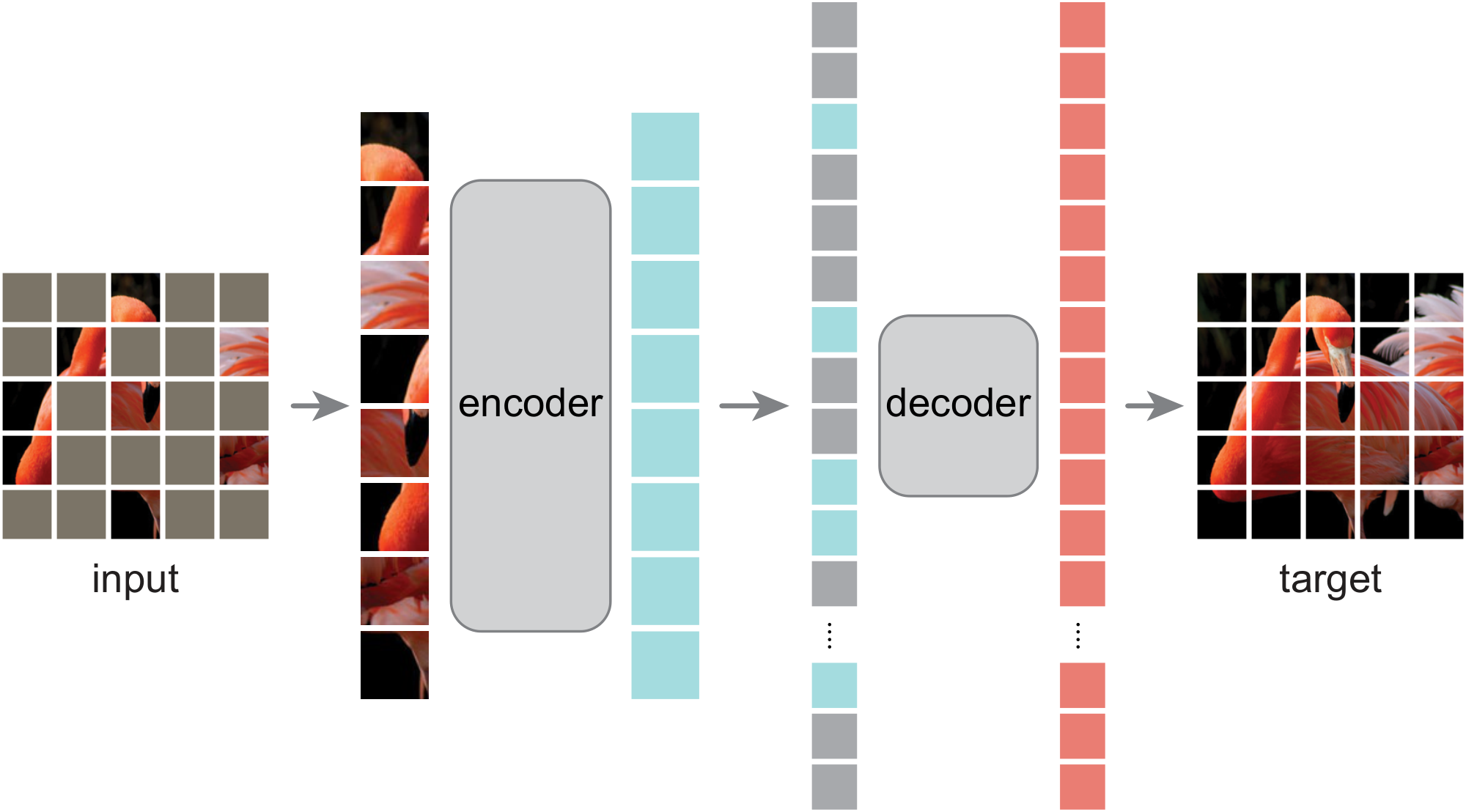**Figure 1:** **Our MAE architecture**. During pre-training, a large random subset of image patches (*e.g.*, 75%) is masked out. The encoder is applied to the small subset of *visible patches*. Mask tokens are introduced *after* the encoder, and the full set of encoded patches and mask tokens is processed by a small decoder that reconstructs the original image in pixels. After pre-training, the decoder is discarded and the encoder is applied to uncorrupted images (full sets of patches) for recognition tasks.
