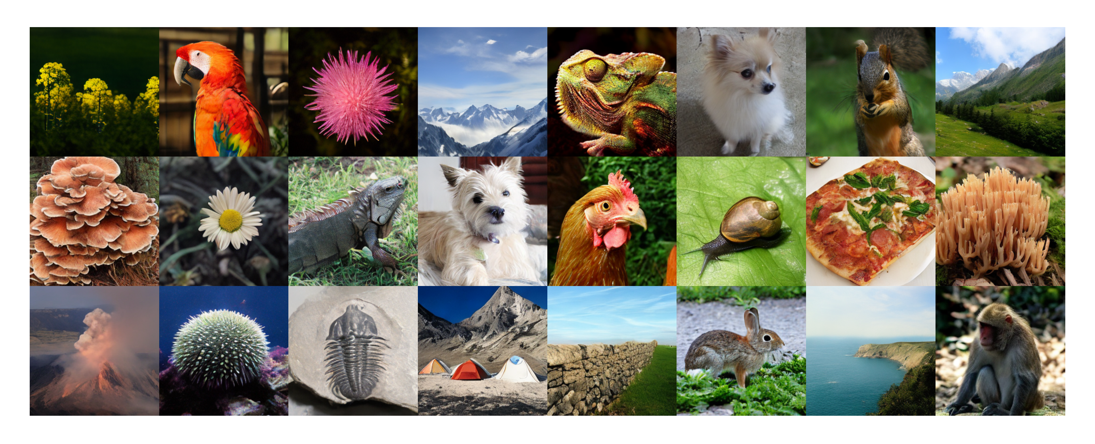 **Figure 5:** **1-NFE Generation Results.** We show curated examples of class-conditional generation on ImageNet 256 $\times$ 256 using our 1-NFE model (MeanFlow-XL/2, 3.43 FID).