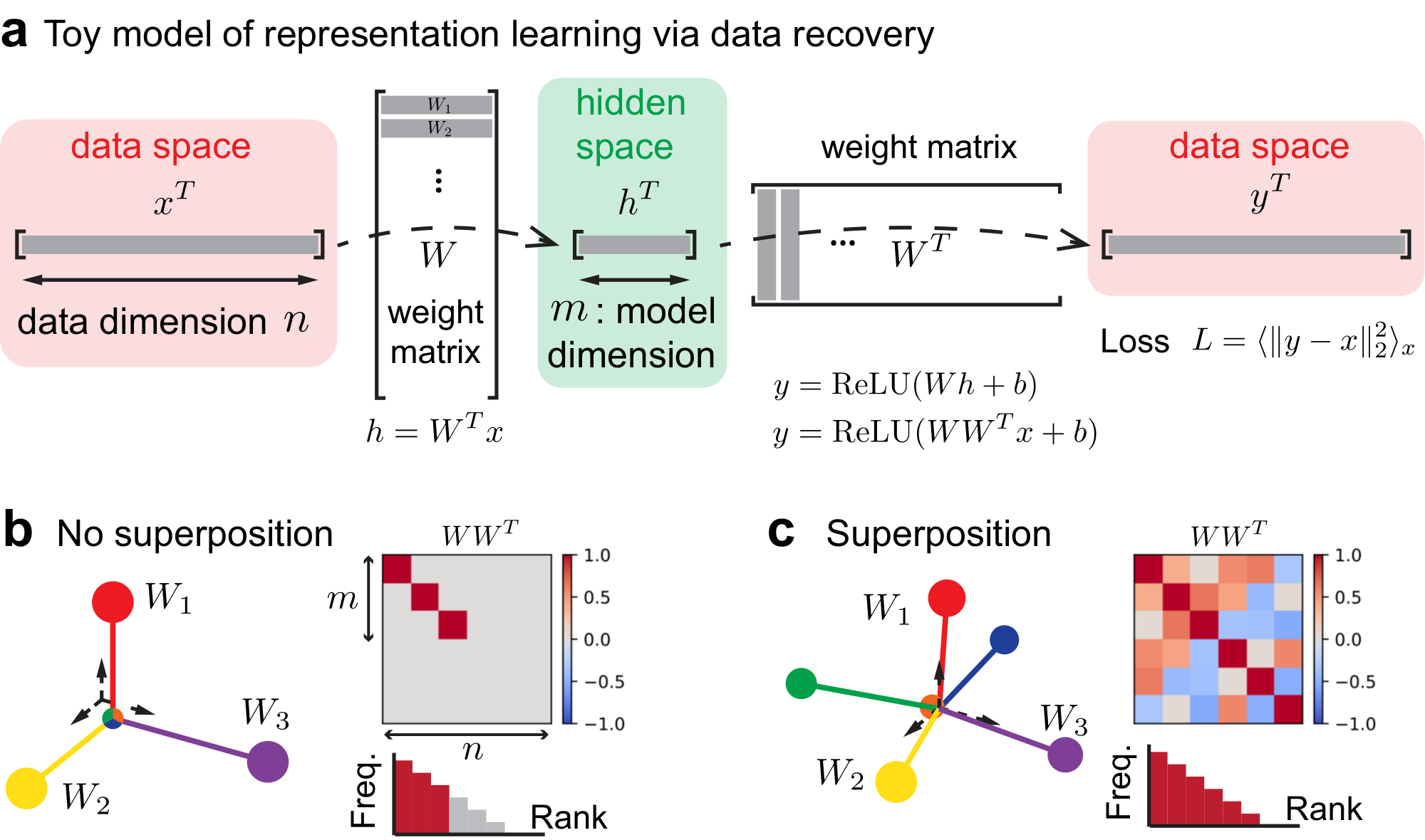 **Figure 2:** Toy model of superposition. (a) Architecture and loss of the toy model. (b and c) A row of the matrix $W$, denoted by $W_i$, is the representation of feature $i$. (b) No superposition represented the most frequent features, i.e., the first three ($n=6$ features in $m=3$ dimensional space), without interference. In the frequency-rank plot, height means feature $i$ 's frequency $p_i$, and color means the $i$ th row vector's norm $\|W_i\|_2$. (c) With superposition, features are all represented, while the representations $W_i$ overlap.
