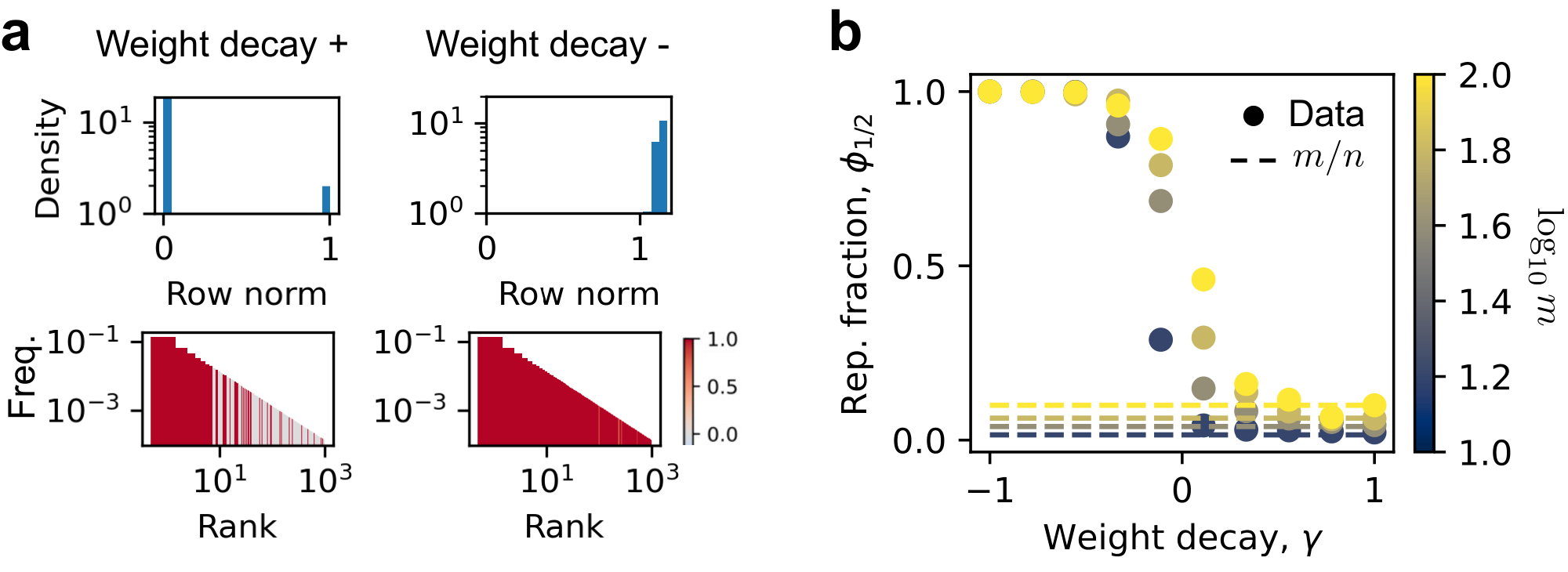 **Figure 3:** Weight decay can tune the degree of superposition. (a) Positive weight decay ($\gamma = 1$ in the figure) has $\|W_i\|_2$ near 0 or 1, with frequent features more likely to be represented (color means $\|W_i\|_2$ in frequency-rank plots). Negative weight decay ($\gamma = -1$) has $\|W_i\|_2$ around $1$. We show results when $\alpha = 1, ~m = 100$, yet the claim is generally true. (b) For all models, small weight decays lead to strong superposition, and large weight decays lead to no superposition ($\phi_{1/2}\approx m/n$). More data in Appendix D.3.