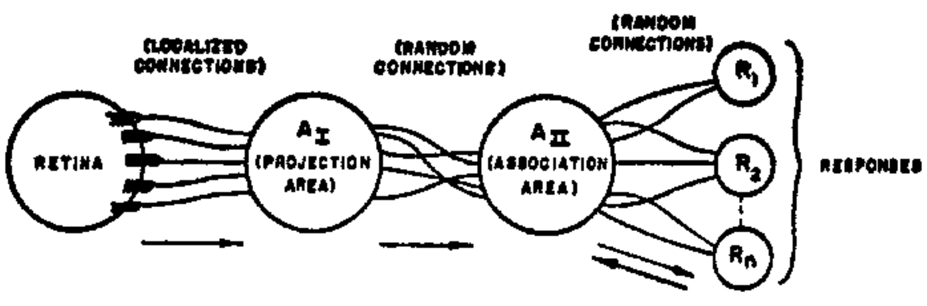 FIG. 1. Organization of a perceptron.