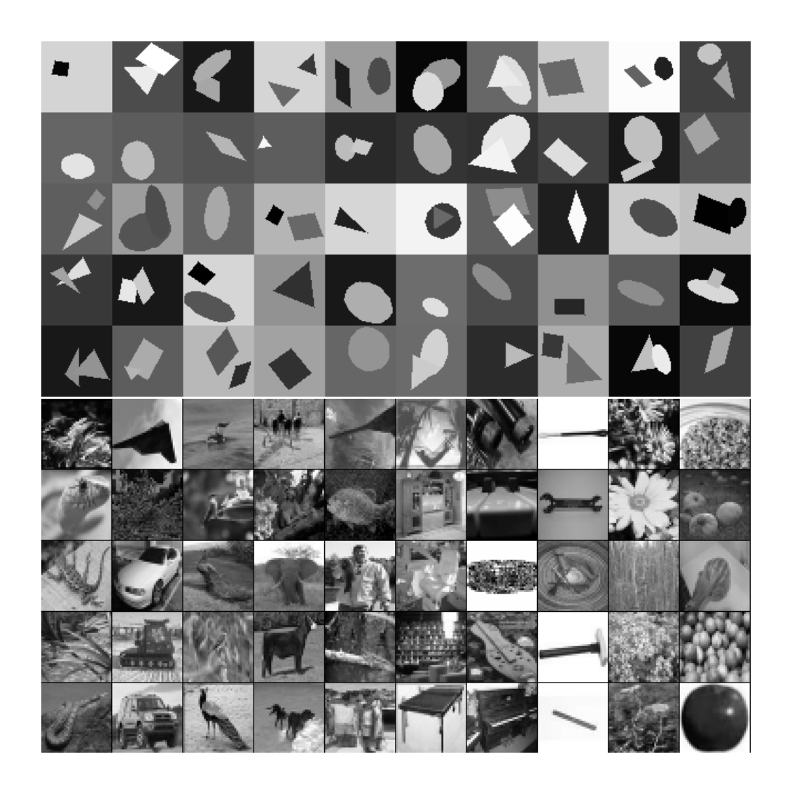Figure 1: Top: Shapeset-3 $\times$ 2 images at $64 \times 64$ resolution. The examples we used are at $32 \times 32$ resolution. The learner tries to predict which objects (parallelogram, triangle, or ellipse) are present, and 1 or 2 objects can be present, yielding 9 possible classifications. Bottom: Small-ImageNet images at full resolution.